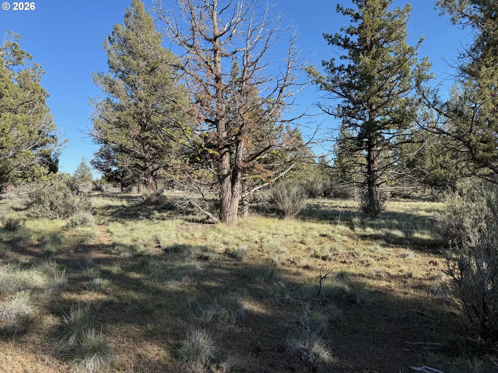 0 Fishhole creek Rd, Bly, OR 97622 — photograph 17