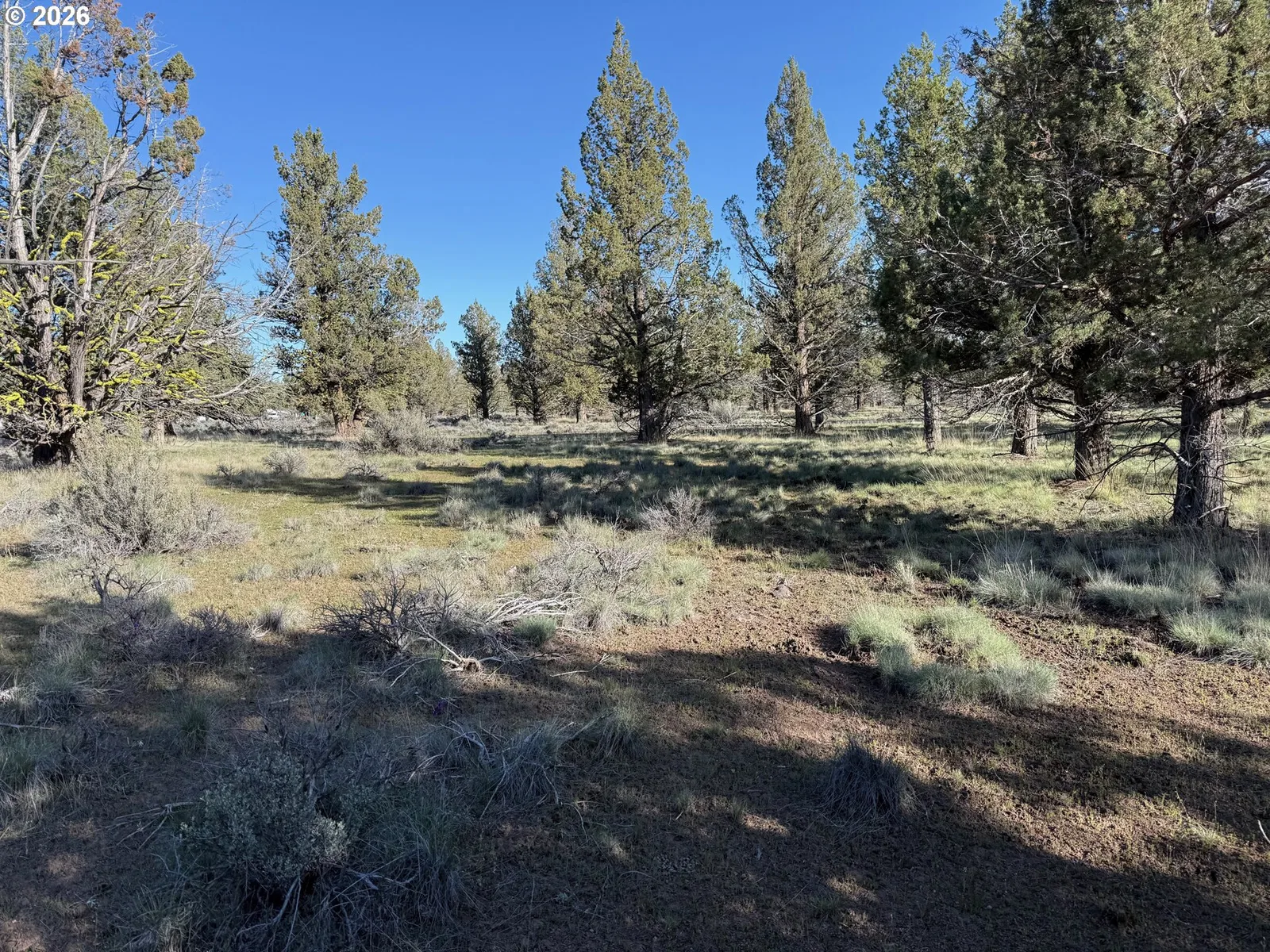 0 Fishhole creek Rd, Bly, OR 97622 — photograph 18