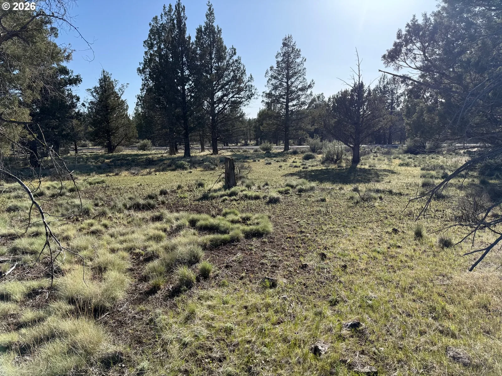 0 Fishhole creek Rd, Bly, OR 97622 — photograph 19