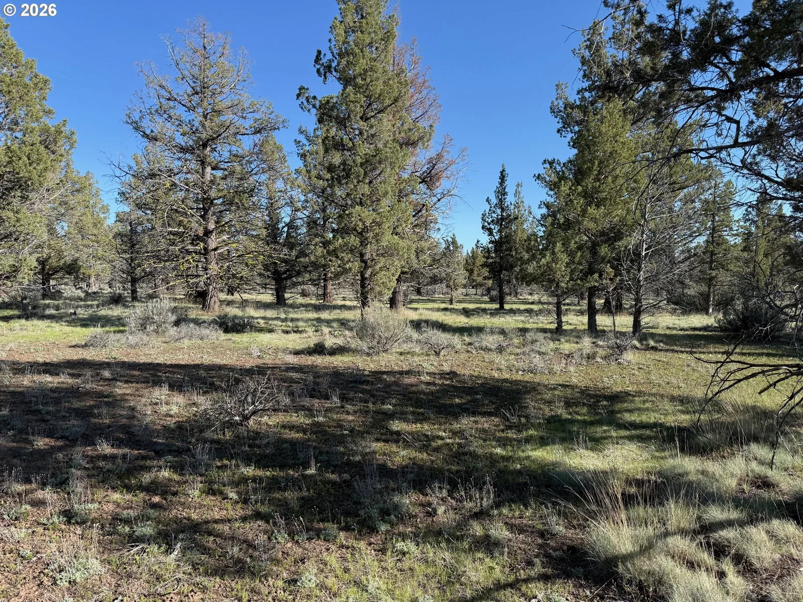 0 Fishhole creek Rd, Bly, OR 97622 — photograph 20