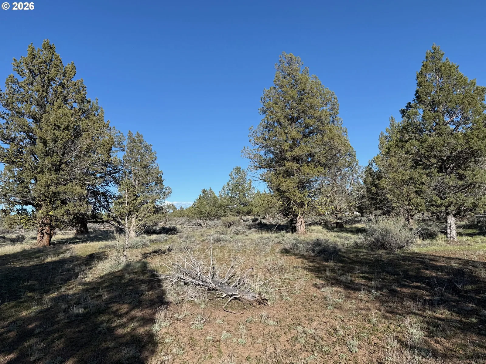 0 Fishhole creek Rd, Bly, OR 97622 — photograph 21