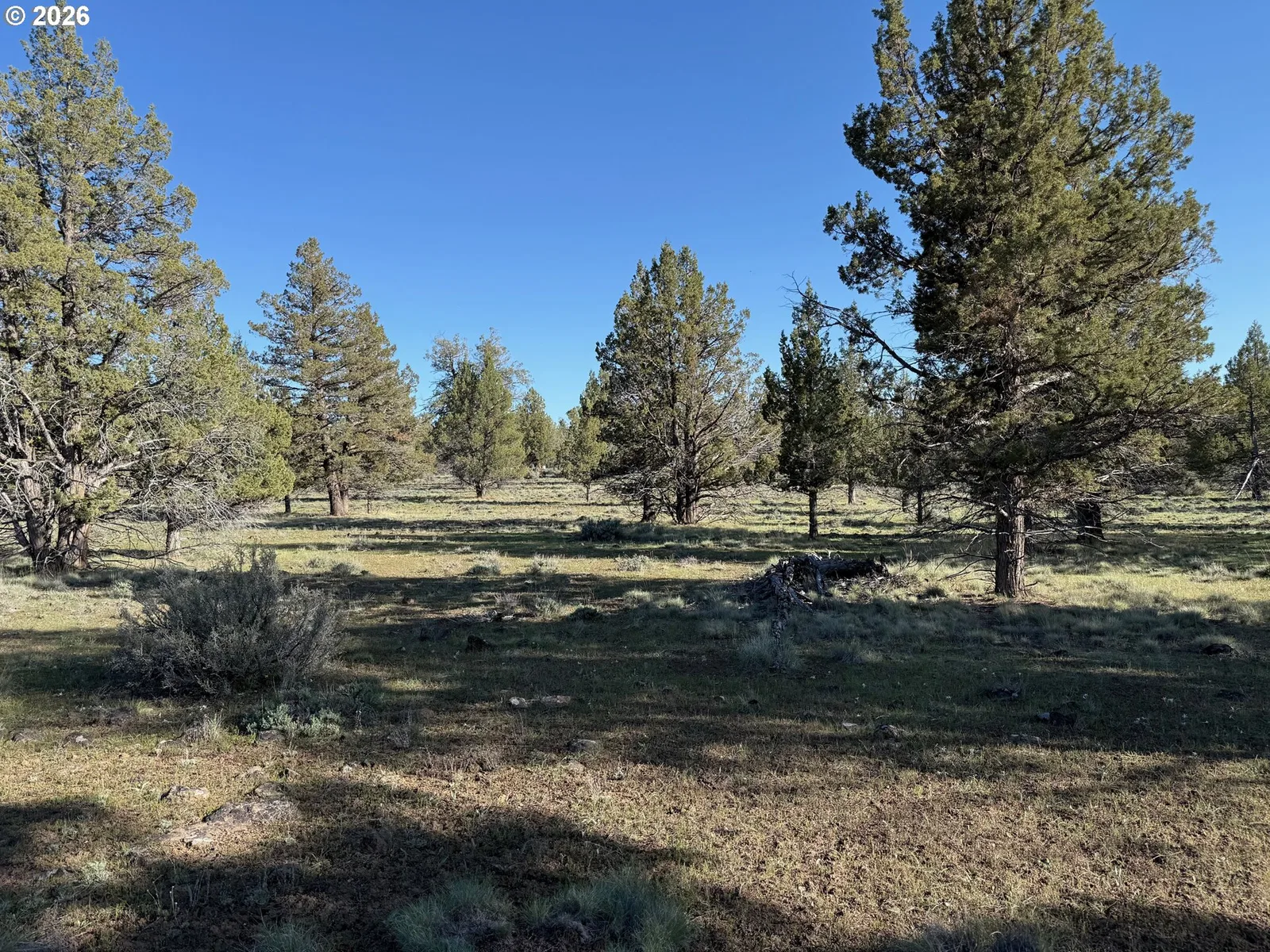 0 Fishhole creek Rd, Bly, OR 97622 — photograph 24