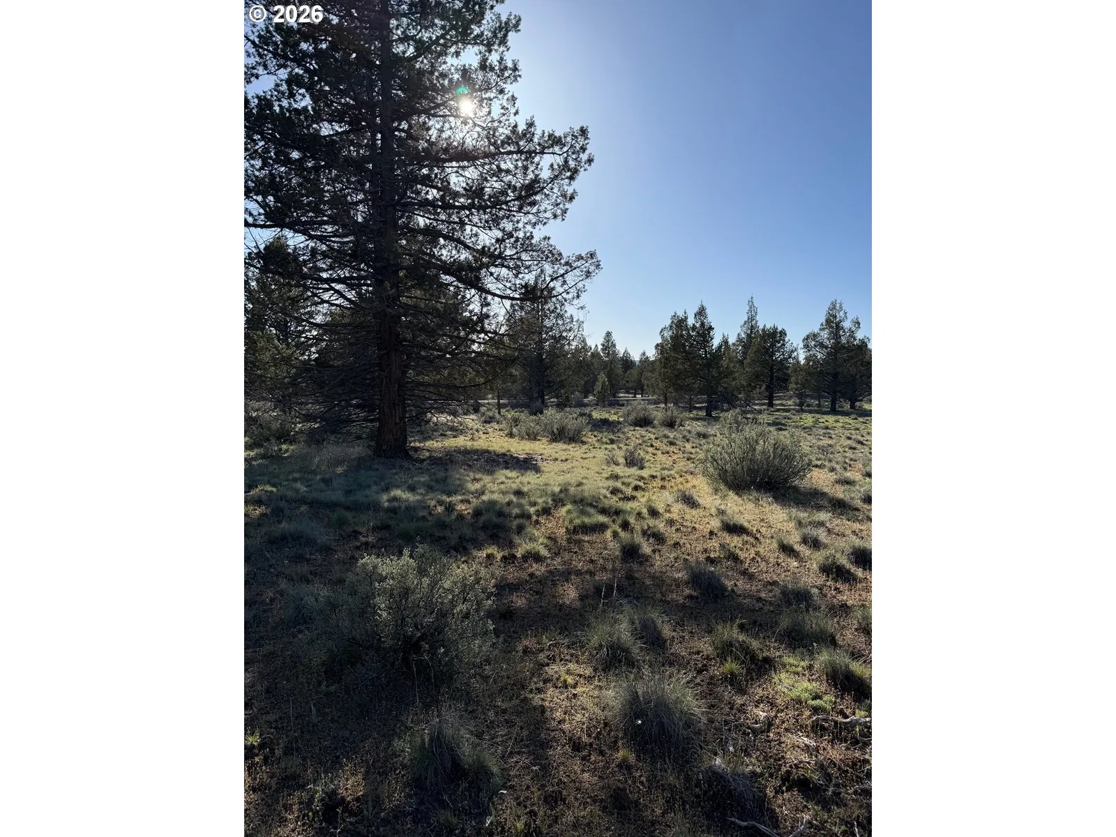 0 Fishhole creek Rd, Bly, OR 97622 — photograph 27