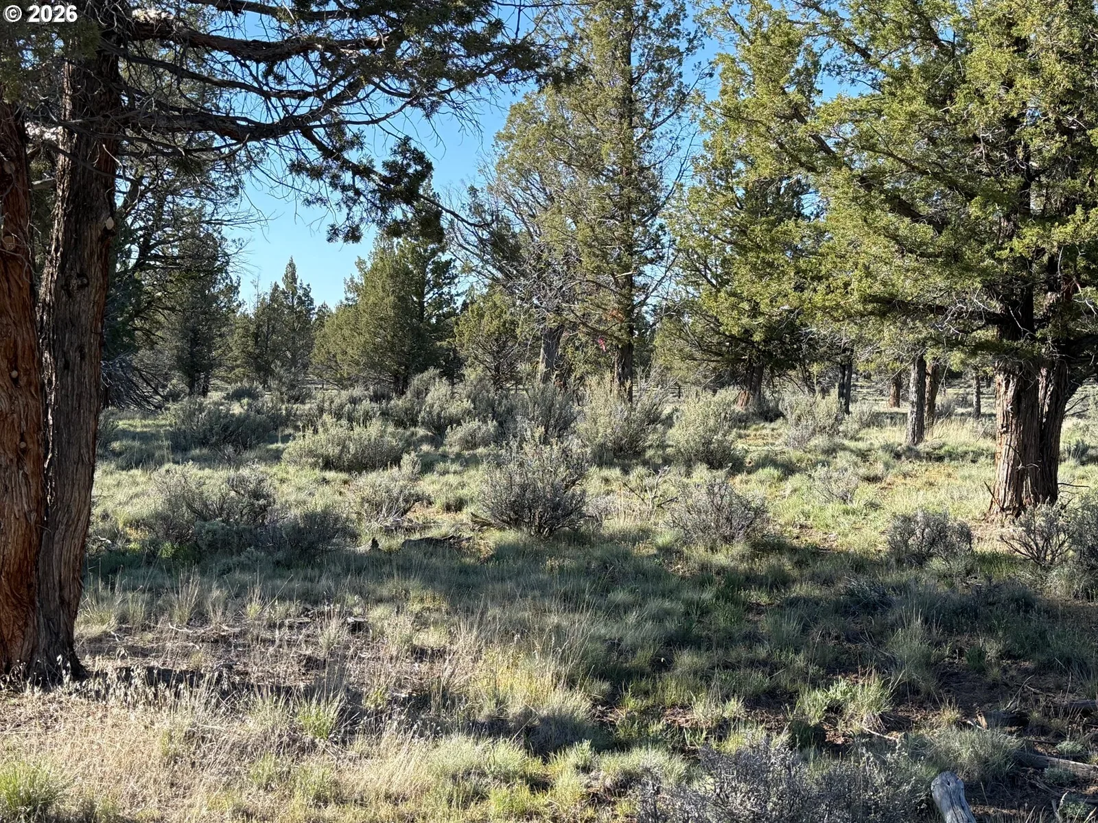 0 Fishhole creek Rd, Bly, OR 97622 — photograph 29