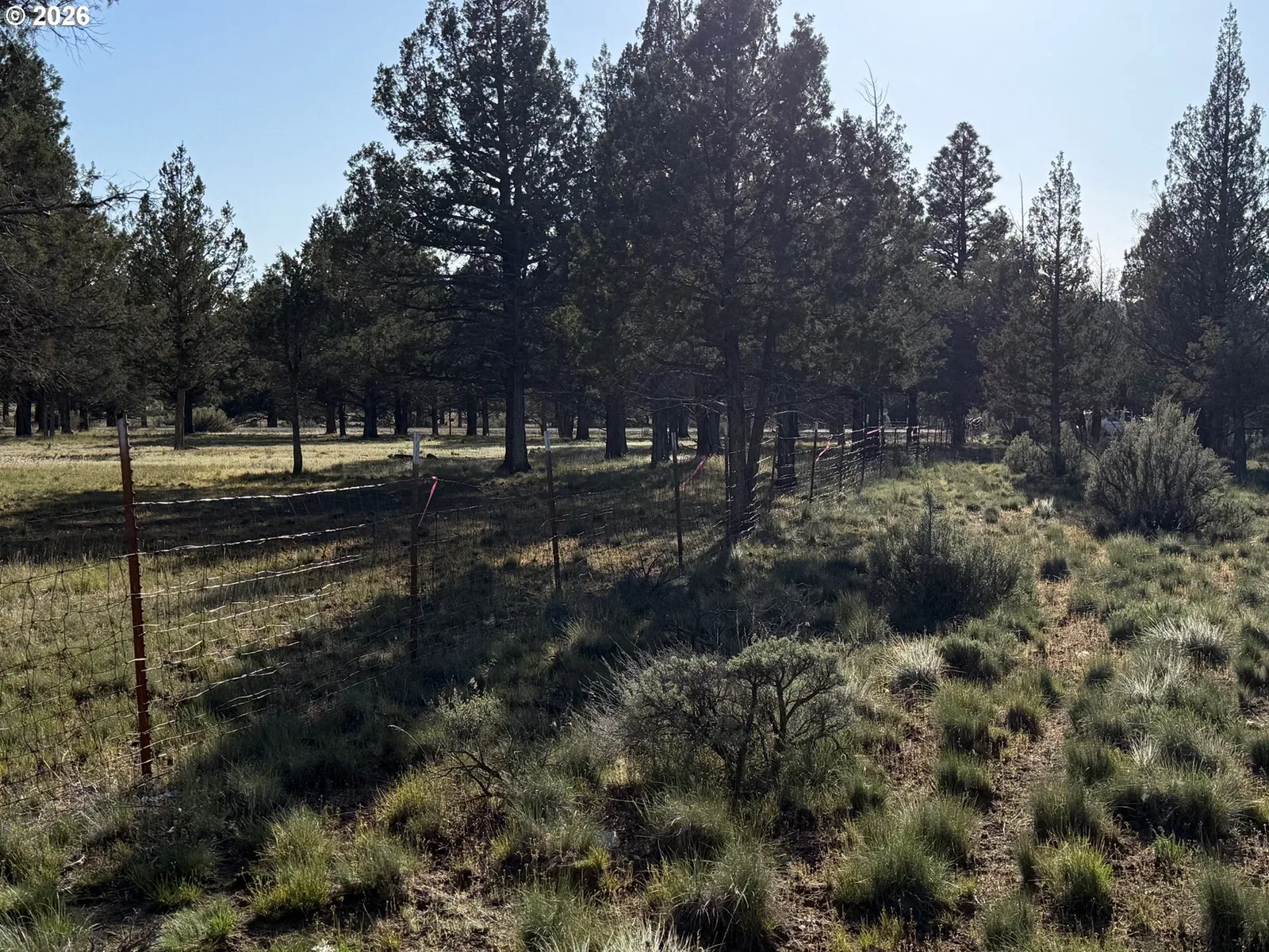 0 Fishhole creek Rd, Bly, OR 97622 — photograph 30