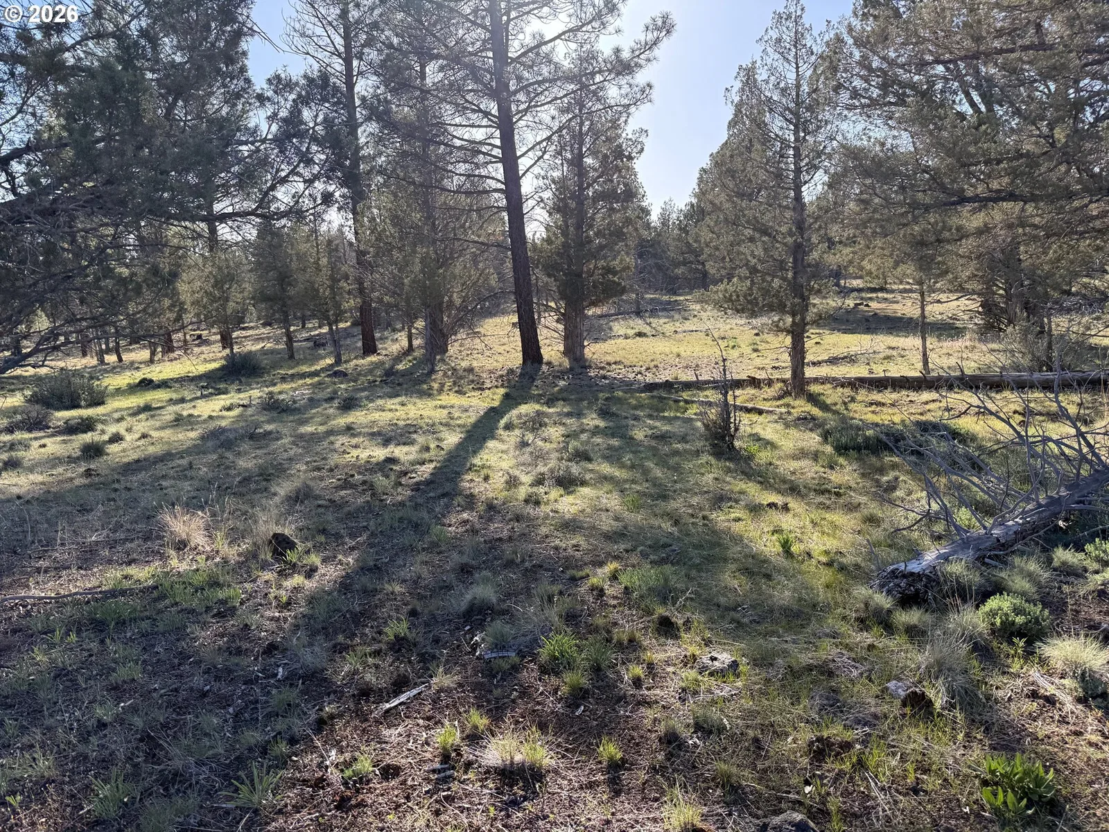 0 Fishhole creek Rd, Bly, OR 97622 — photograph 32