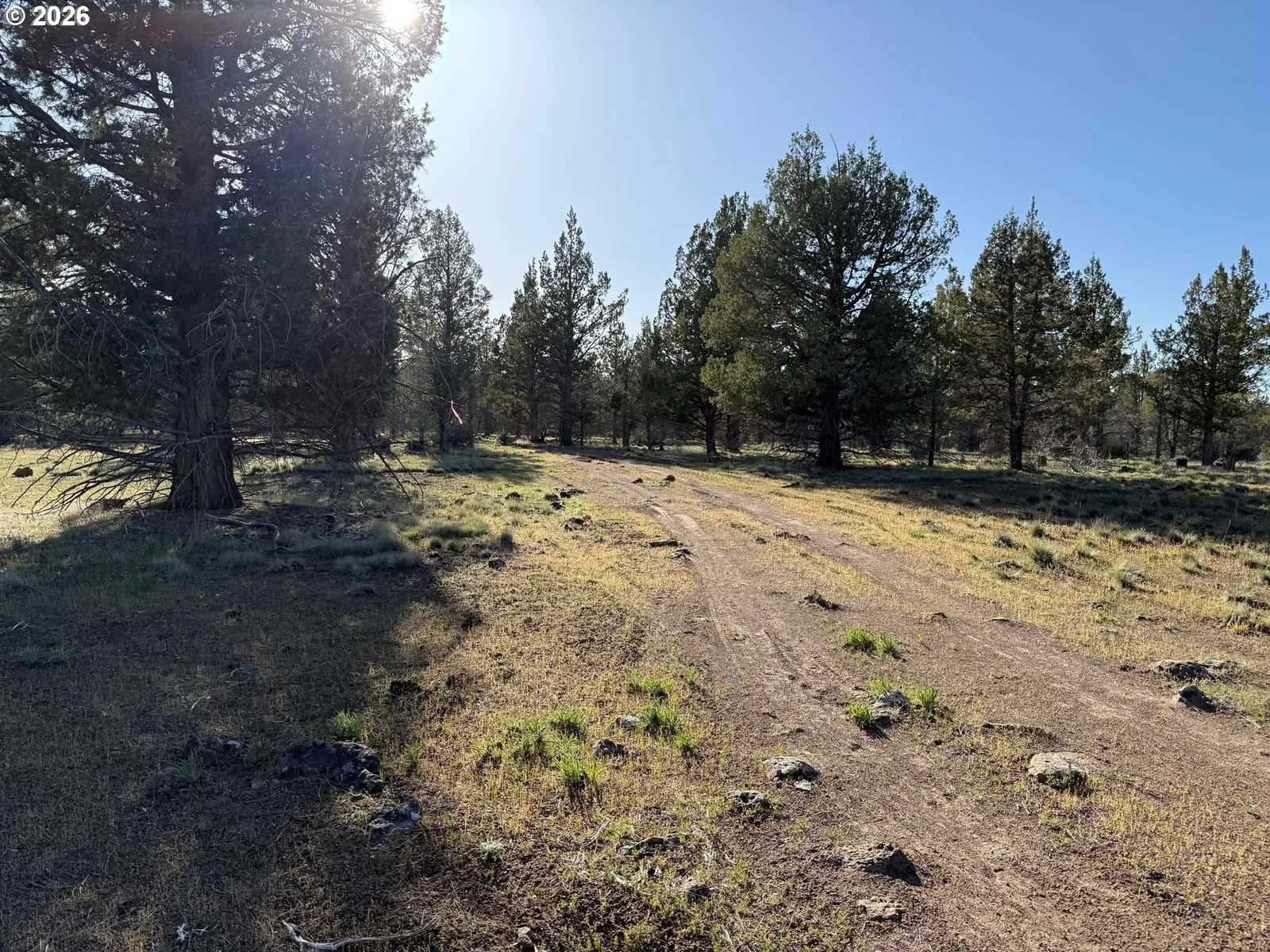 0 Fishhole creek Rd, Bly, OR 97622 — photograph 37