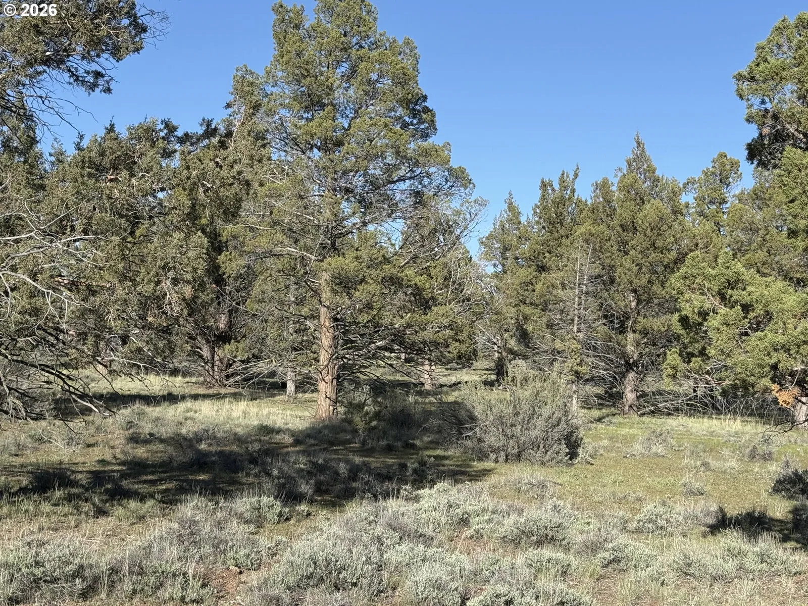 0 Fishhole creek Rd, Bly, OR 97622 — photograph 44