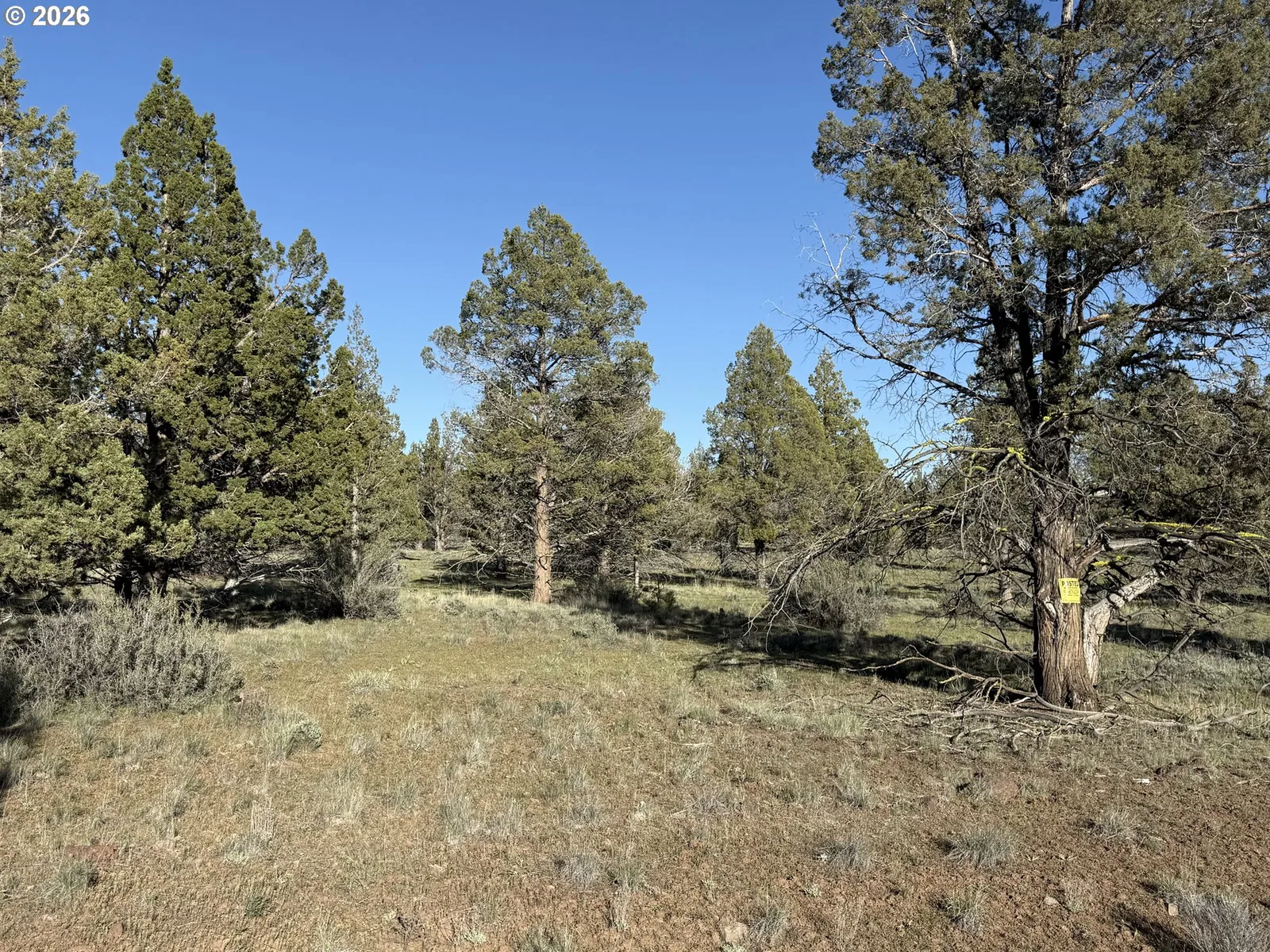 0 Fishhole creek Rd, Bly, OR 97622 — photograph 45