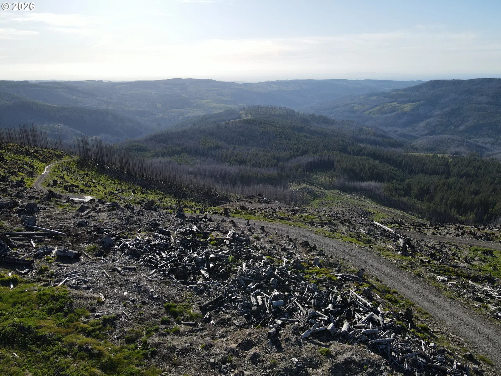1 Middle Horse Creek Rd, Molalla, OR 97038 — photograph 10