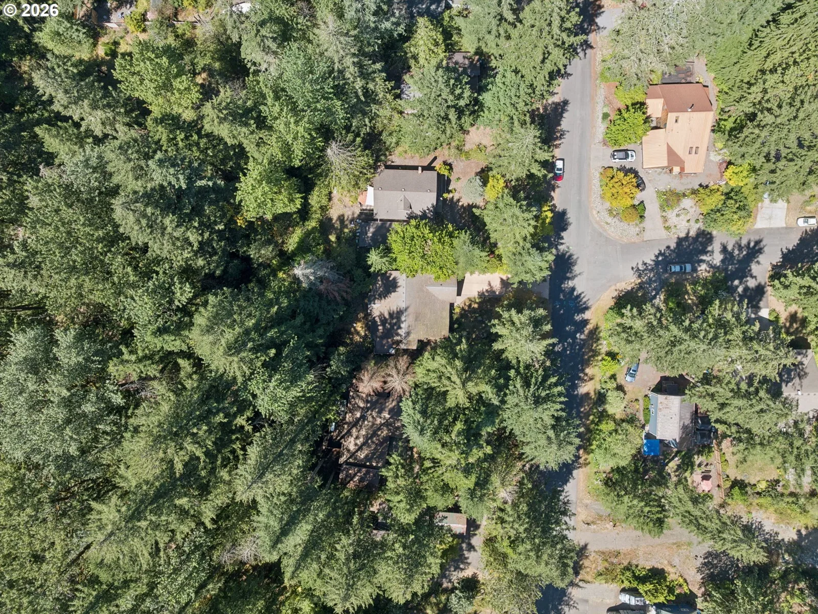 22073 E Wild Fern Ln, Brightwood, OR 97011 — photograph 42