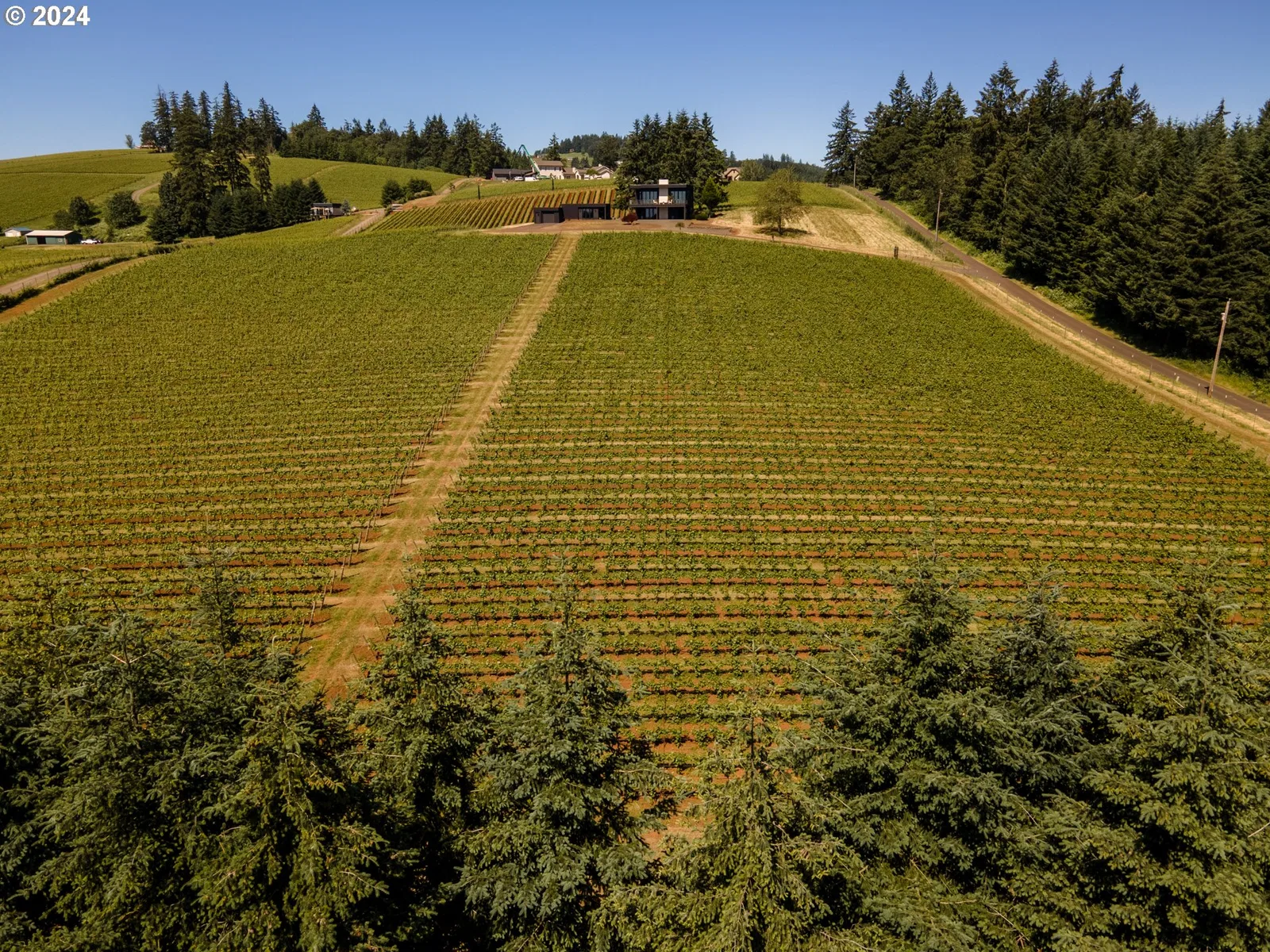20600 NE Overlook Dr, Dundee, OR 97115 — photograph 40