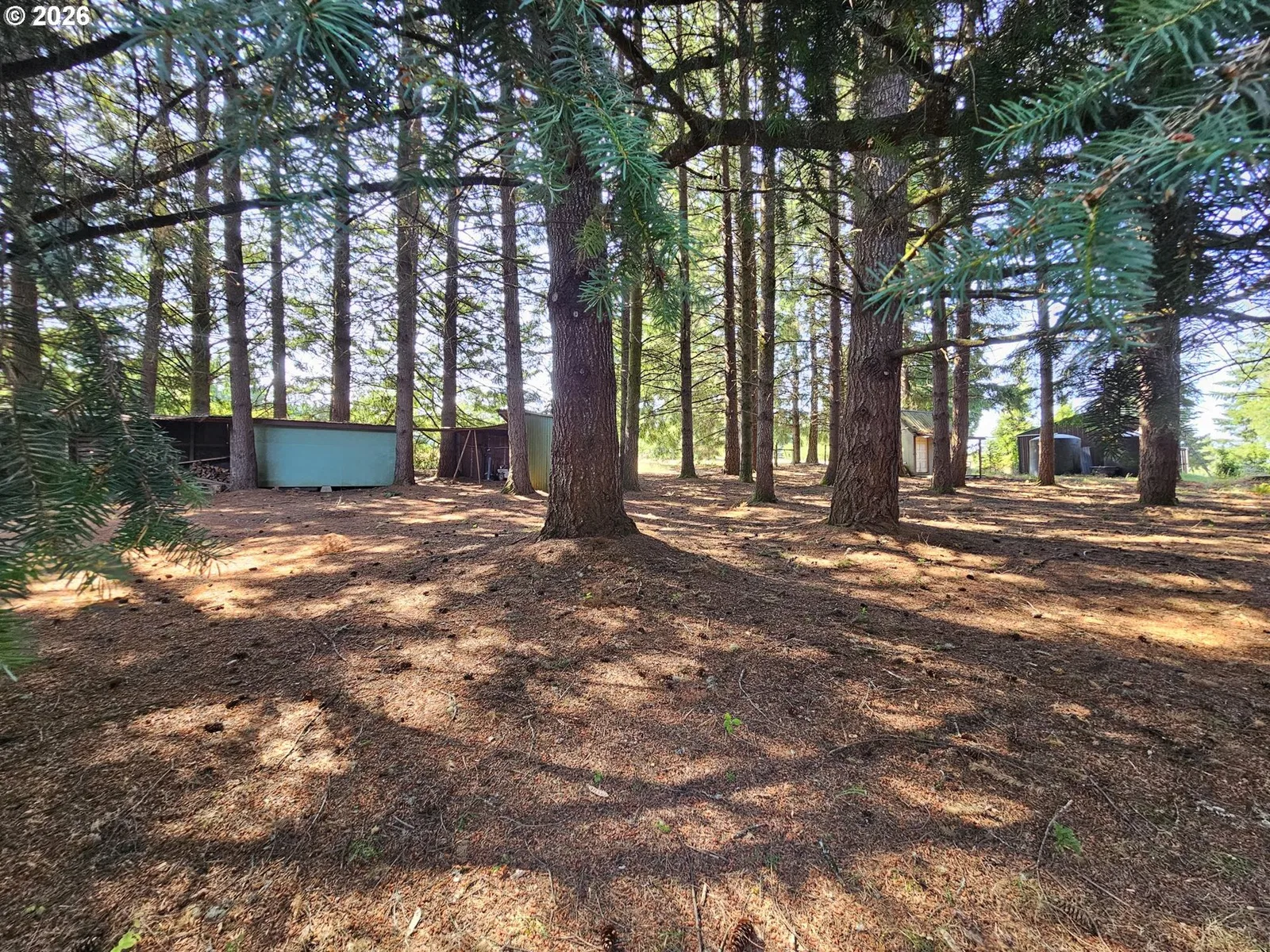 26200 SW Regia Dr, Sheridan, OR 97378 — photograph 37