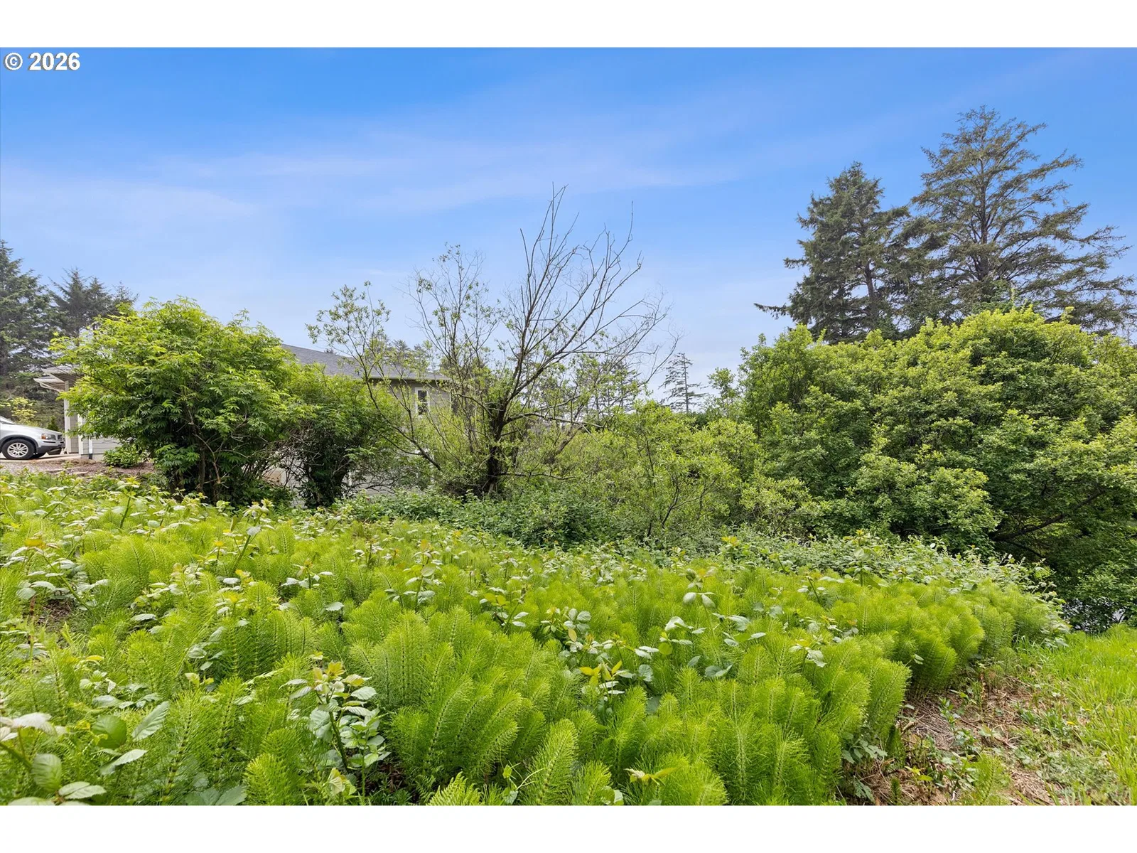 Sea Crest Dr Tl10000, Otter Rock, OR 97369 — photograph 11