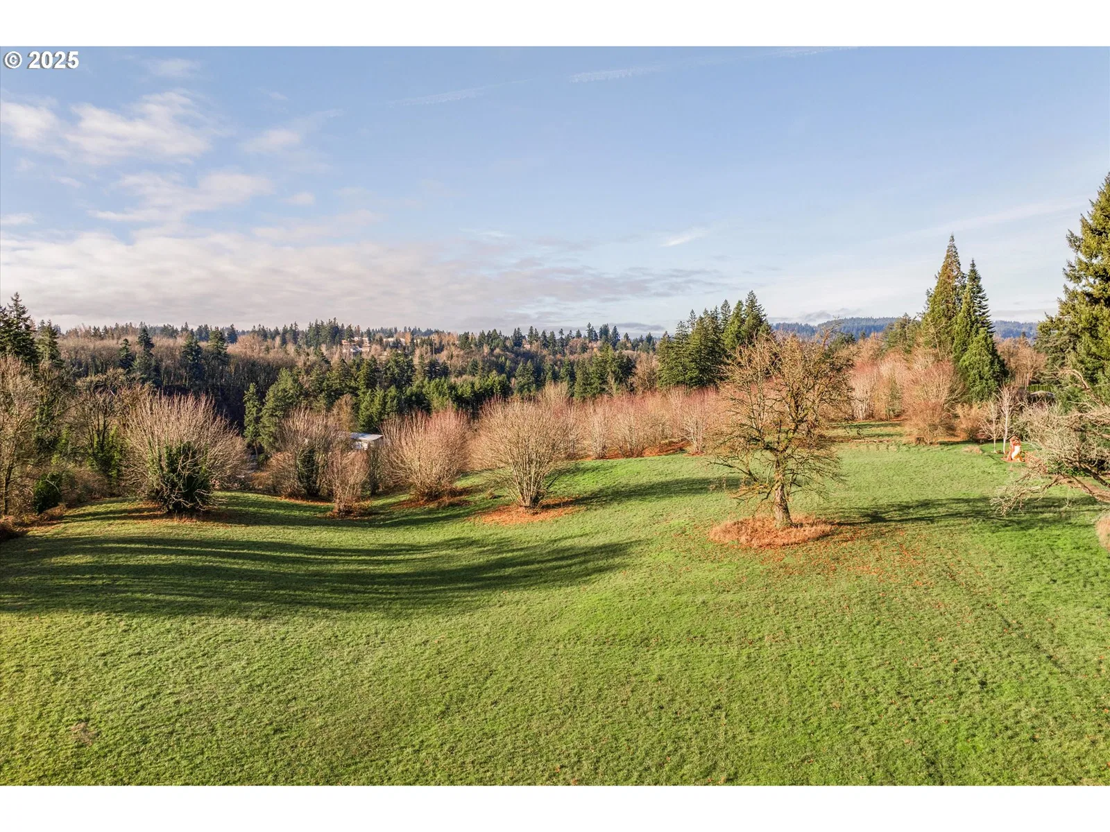 S Livesay Rd, Oregon City, OR 97045 — photograph 8