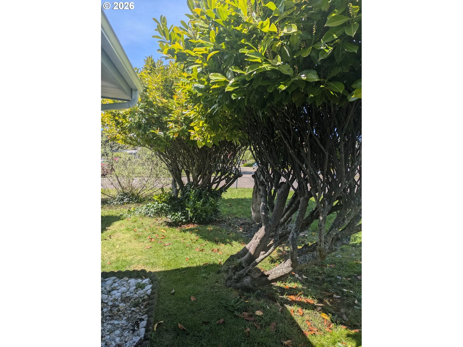 1116 7th St, Florence, OR 97439 — photograph 15
