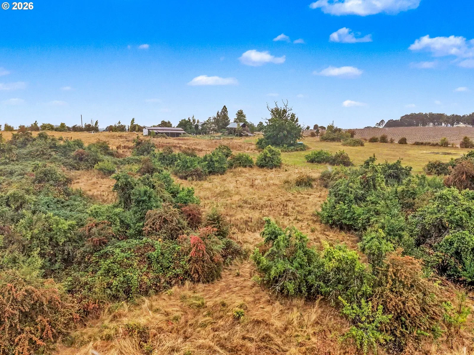 5720 NE Duniway Rd, Dayton, OR 97114 — photograph 30