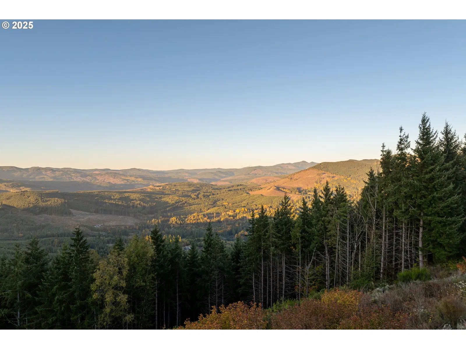 421 Woodland Heights Rd, Woodland, Wa 98674 — photograph 41