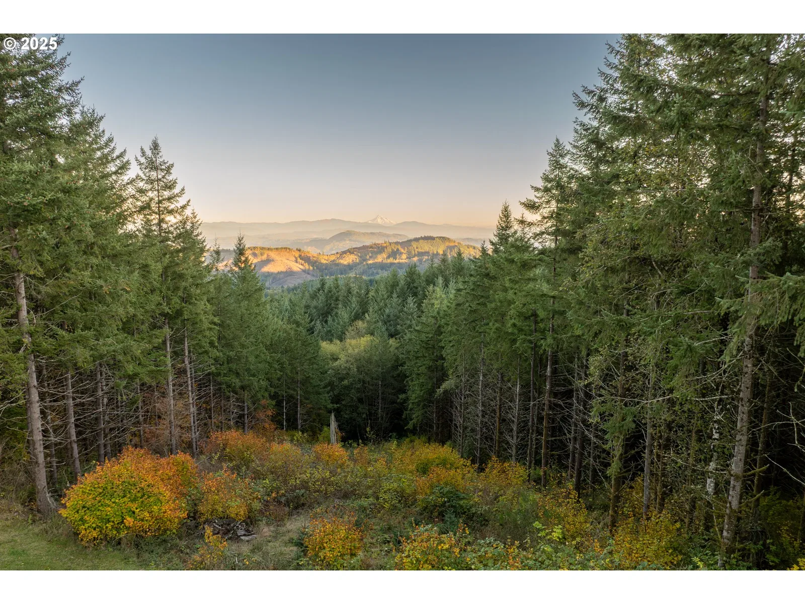 421 Woodland Heights Rd, Woodland, Wa 98674 — photograph 42