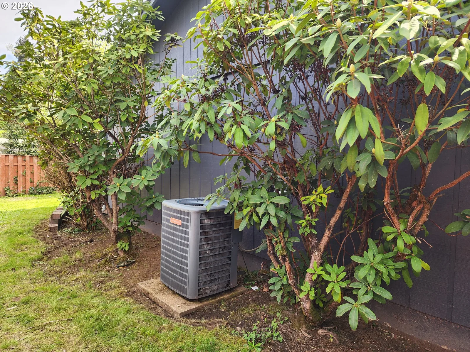 130 NE 12th Ave, Canby, OR 97013 — photograph 25