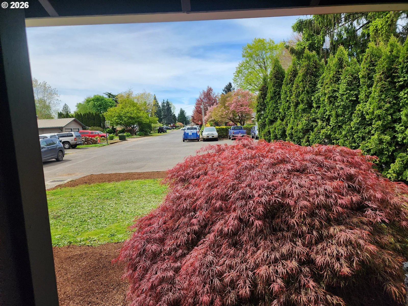 130 NE 12th Ave, Canby, OR 97013 — photograph 19