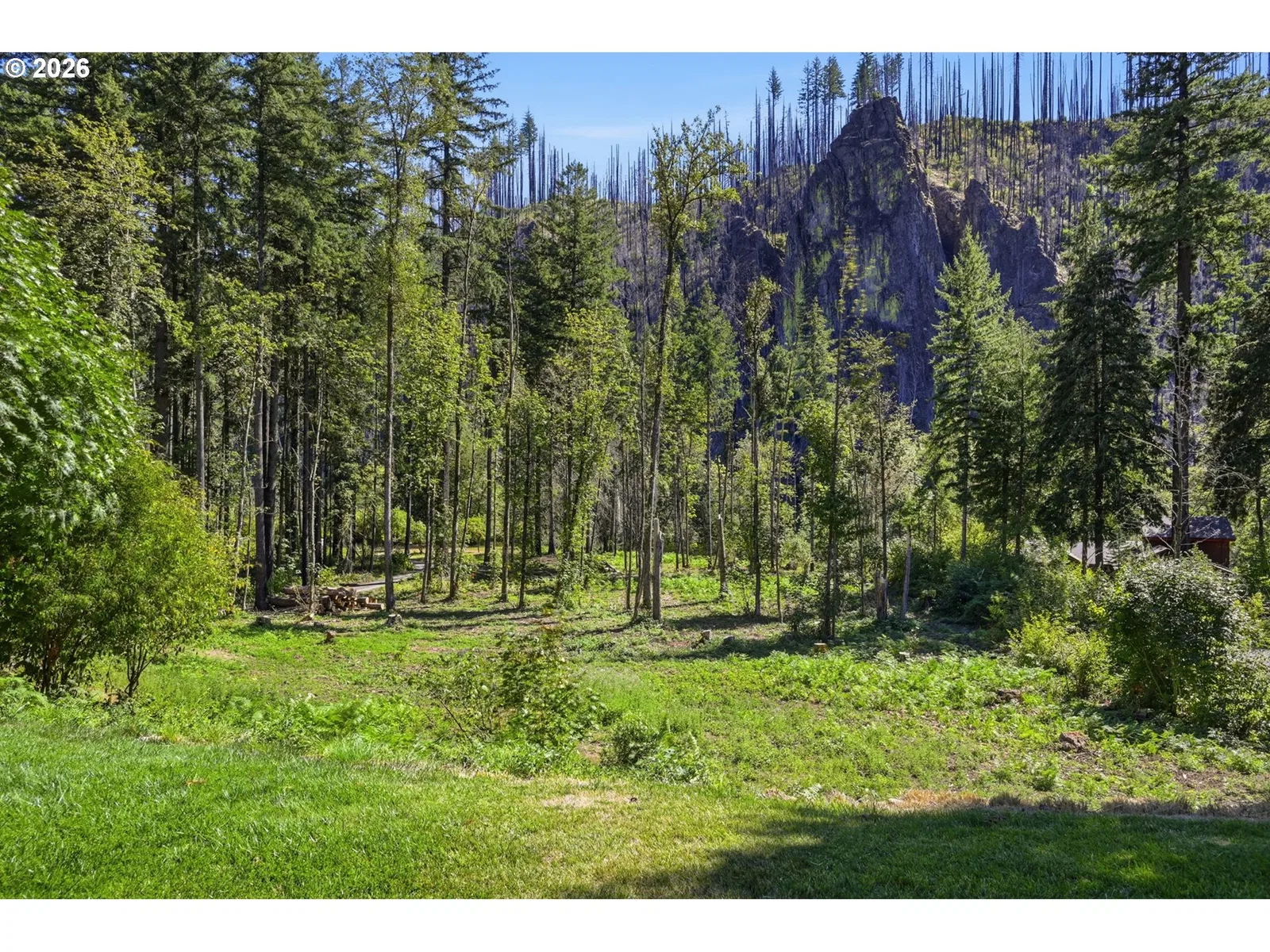 49380 McKenzie Hwy, Vida, OR 97488 — photograph 43