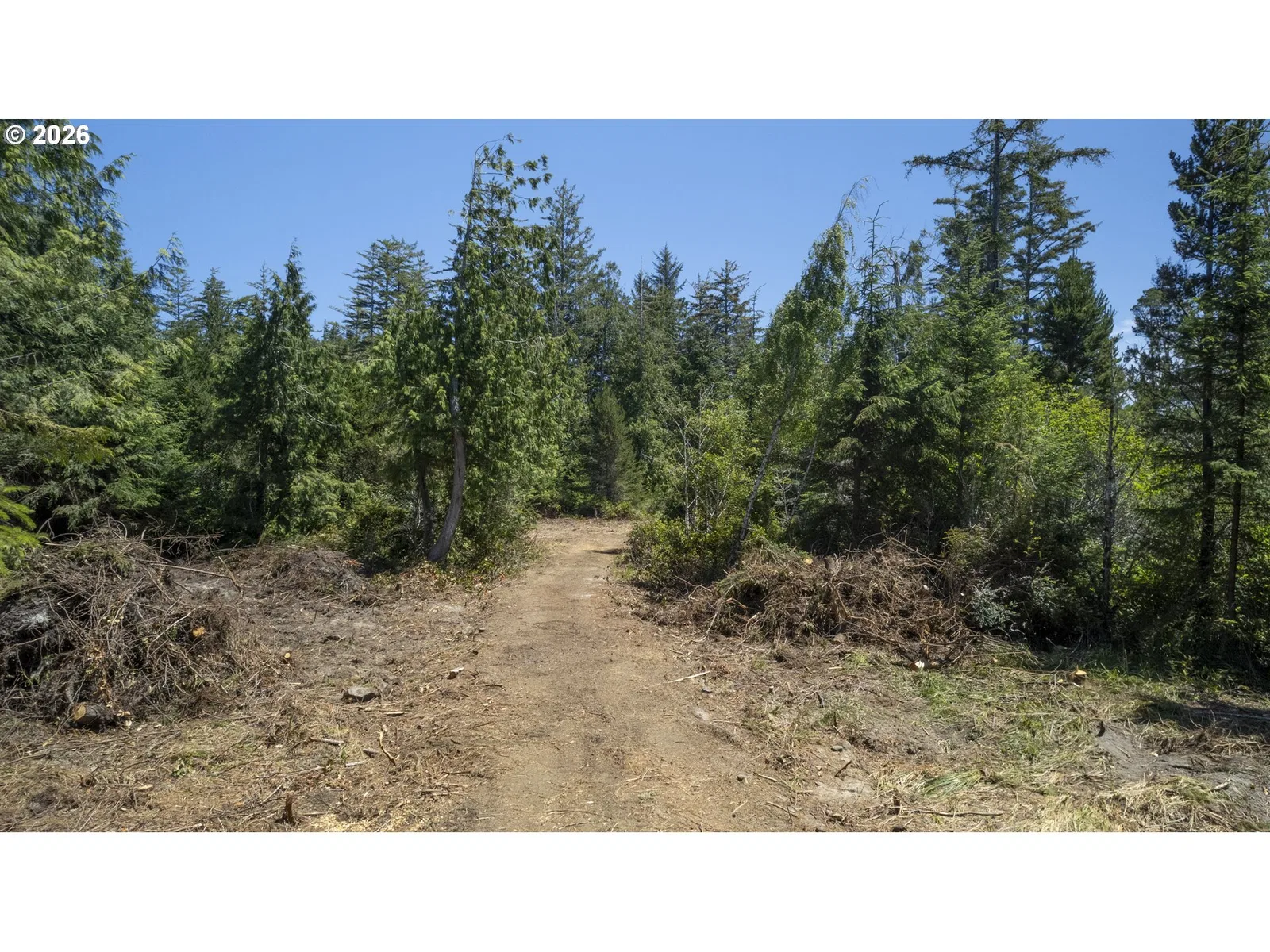 OR Coast Hwy, Florence, OR 97439 — photograph 41
