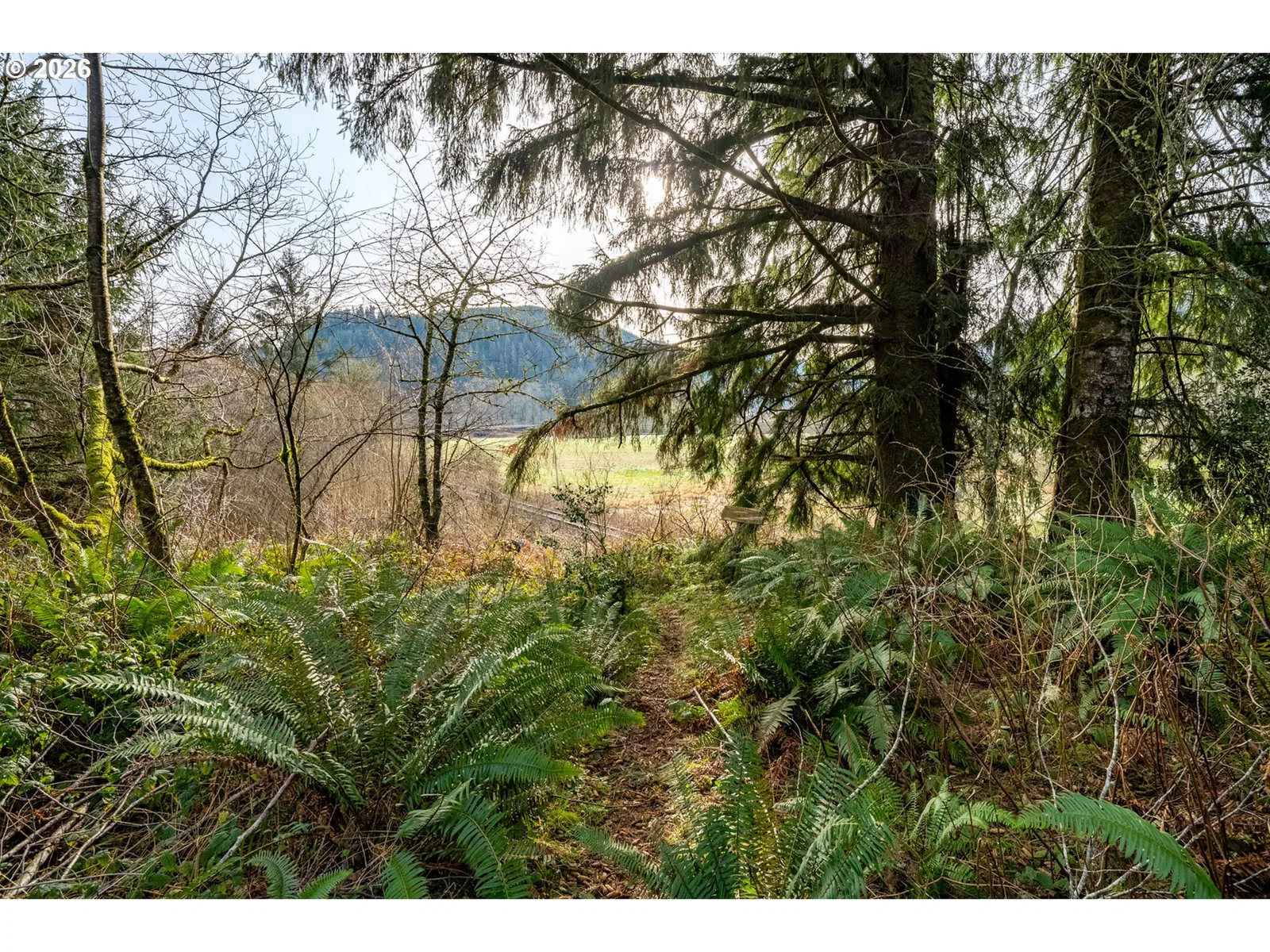 34000 Miami Foley Rd, Nehalem, OR 97131 — photograph 17