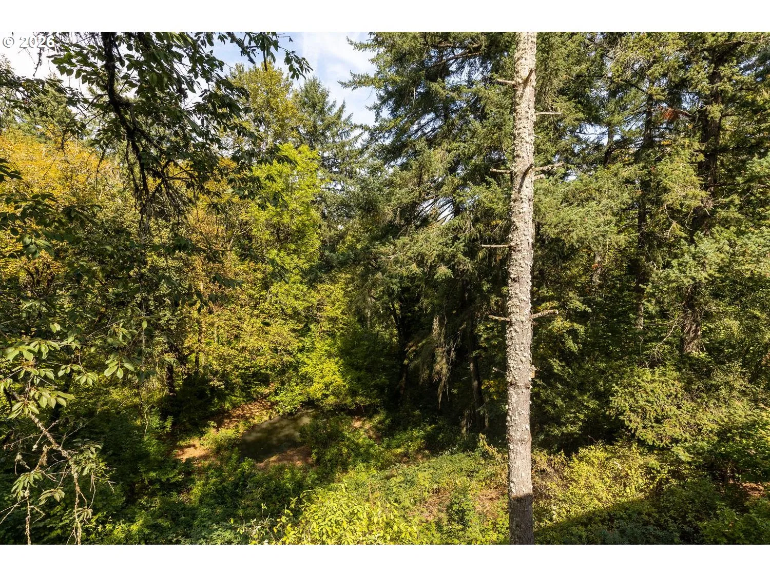 4599 NW Eagle Crest Rdg, Salem, OR 97304 — photograph 42