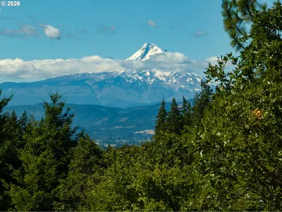 Land at Riggleman Ln, White Salmon, Wa 98672