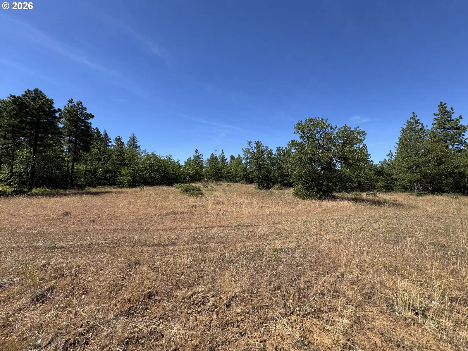 112 Timber Rd, Bickleton, Wa 99322 — photograph 11