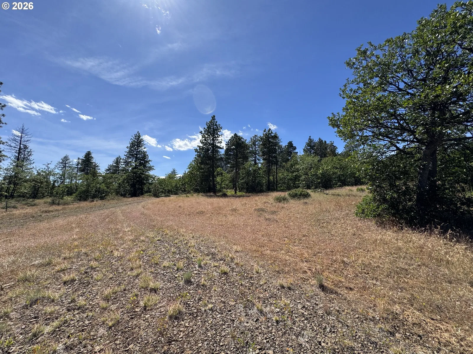 112 Timber Rd, Bickleton, Wa 99322 — photograph 14