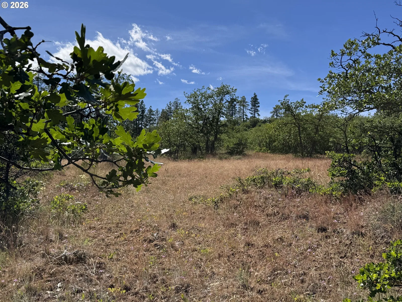 112 Timber Rd, Bickleton, Wa 99322 — photograph 15