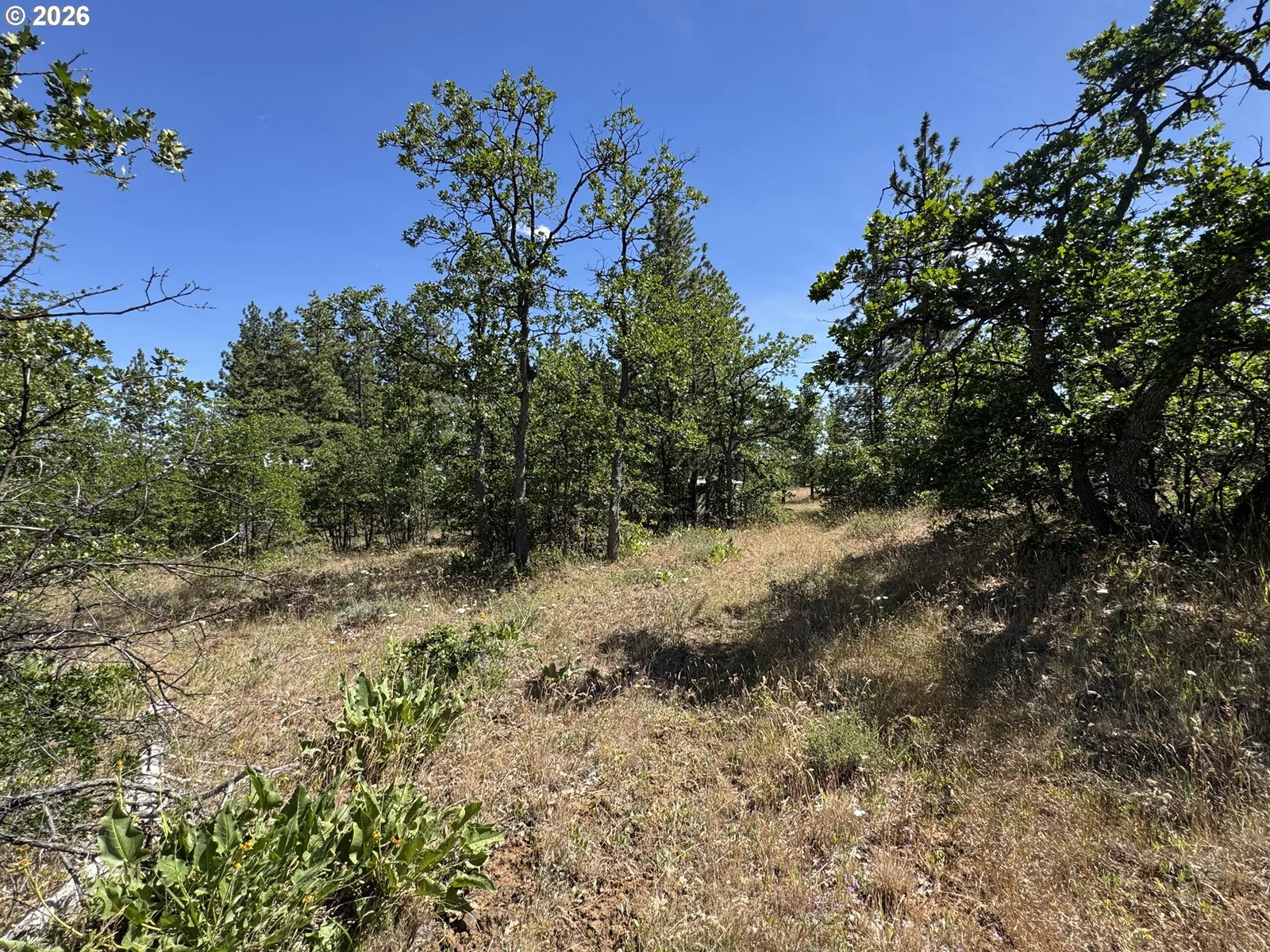 112 Timber Rd, Bickleton, Wa 99322 — photograph 17