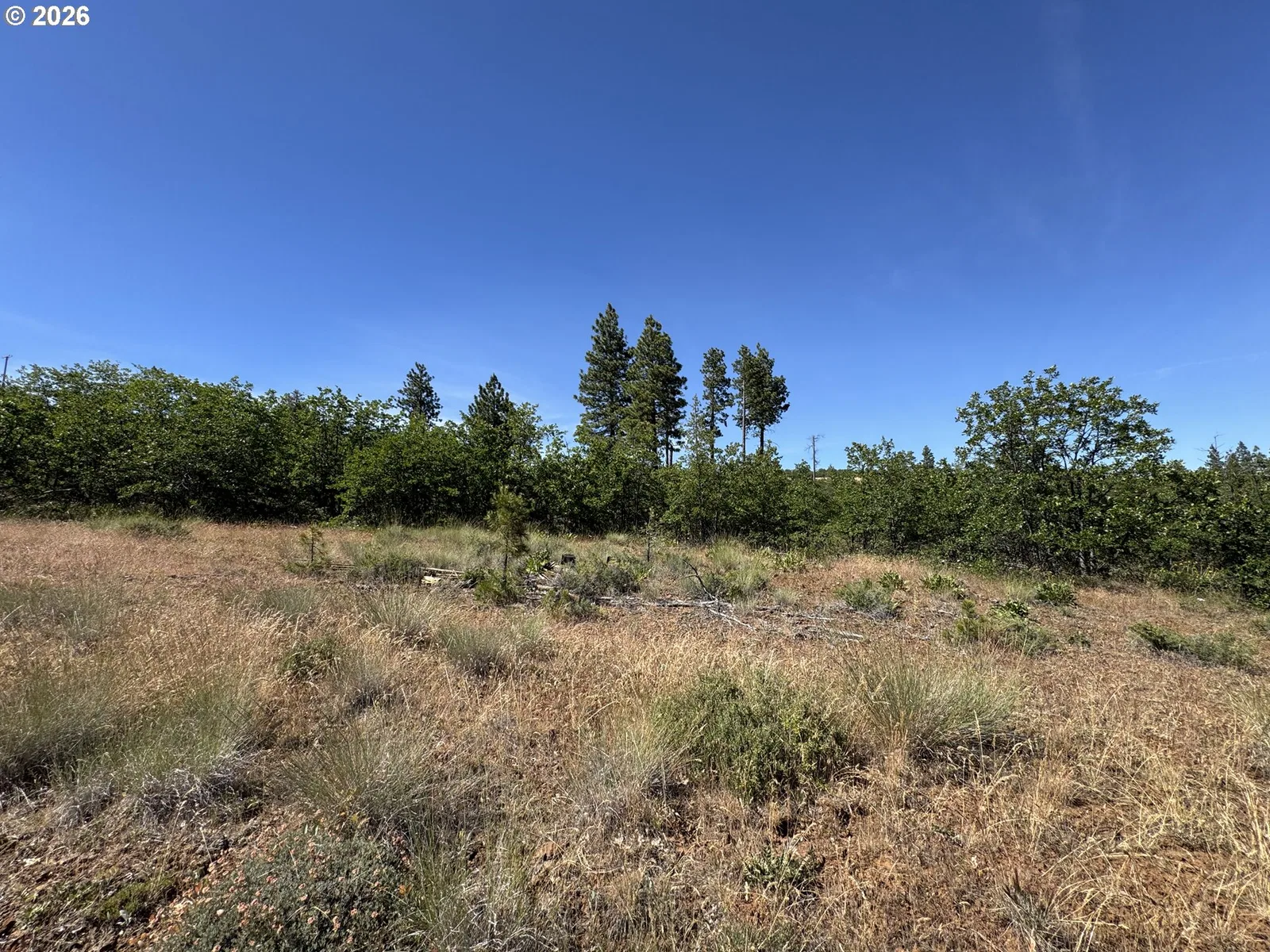 112 Timber Rd, Bickleton, Wa 99322 — photograph 26