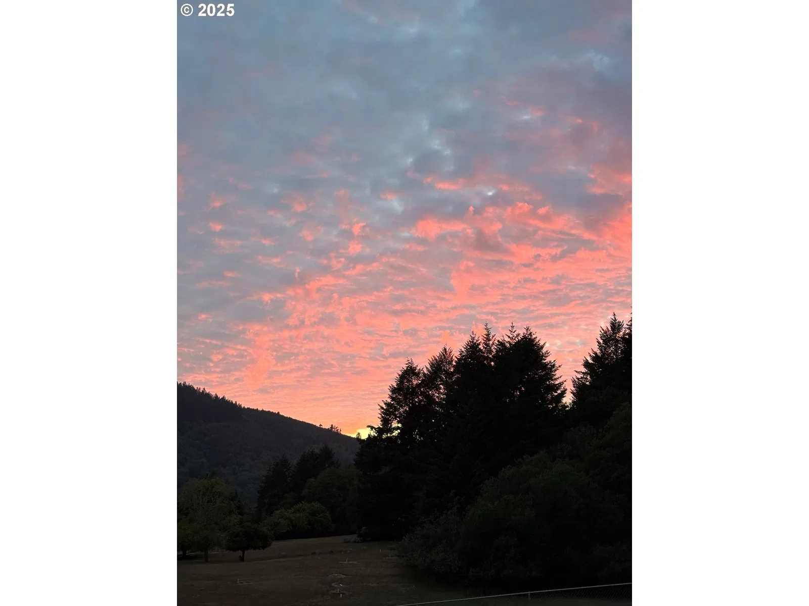 98825 Pleasant Hill Dr 6, Brookings, OR 97415 — photograph 15