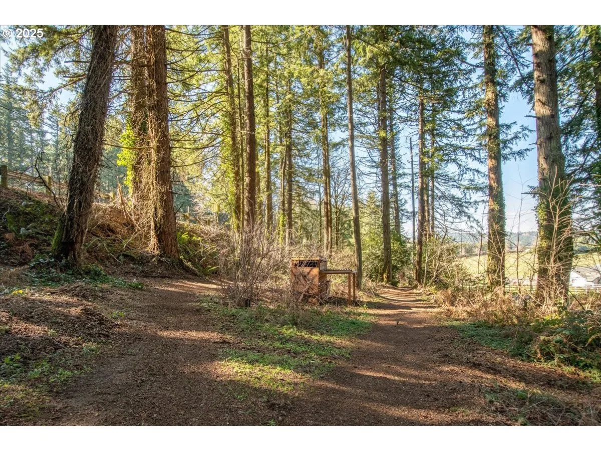 13135 SE Winston Rd, Damascus, OR 97089 — photograph 41