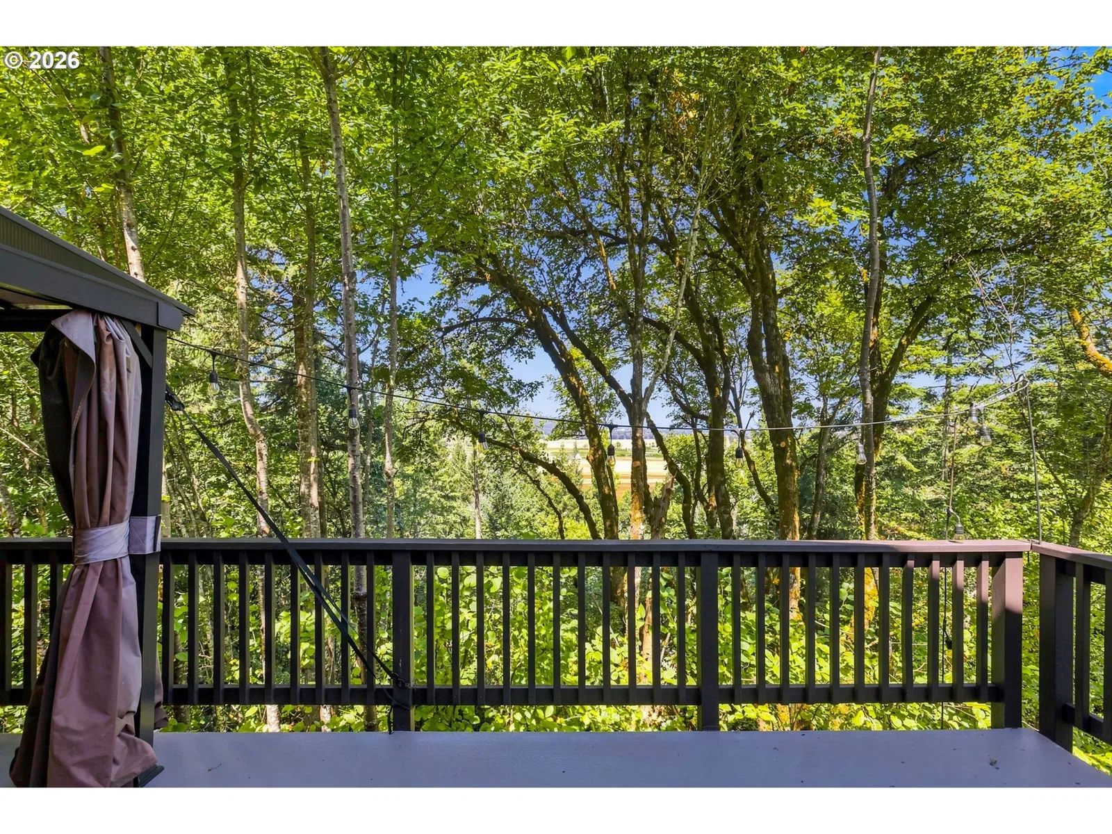 439 Vista Ridge Ct, Gaston, OR 97119 — photograph 11