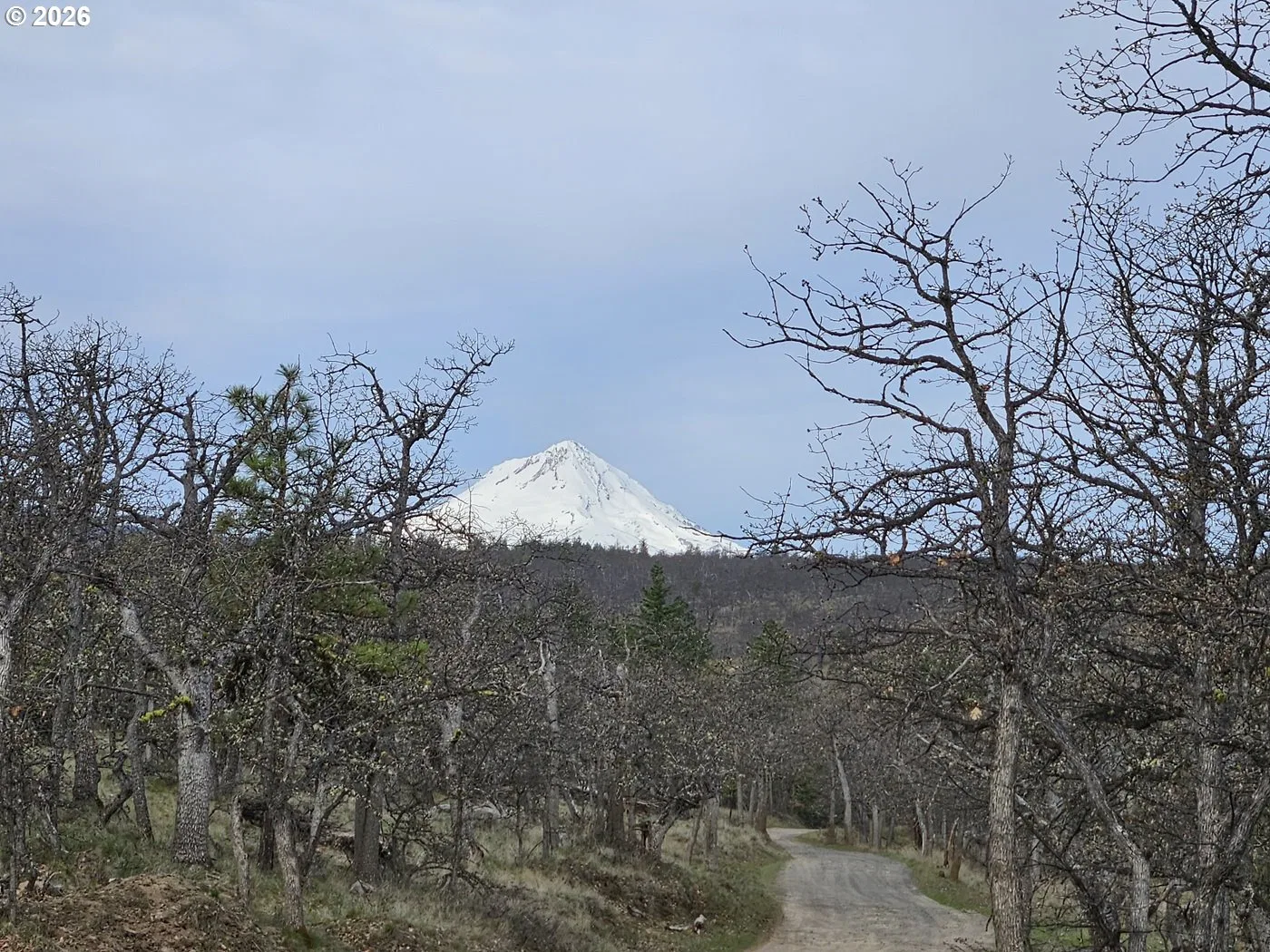0 Ridgetop Rd N 107, Dufur, OR 97021 — photograph 19