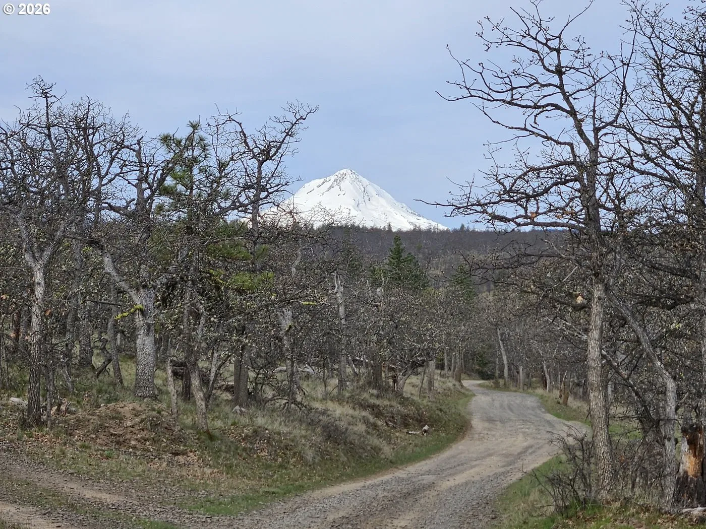 0 Ridgetop Rd N 107, Dufur, OR 97021 — photograph 18