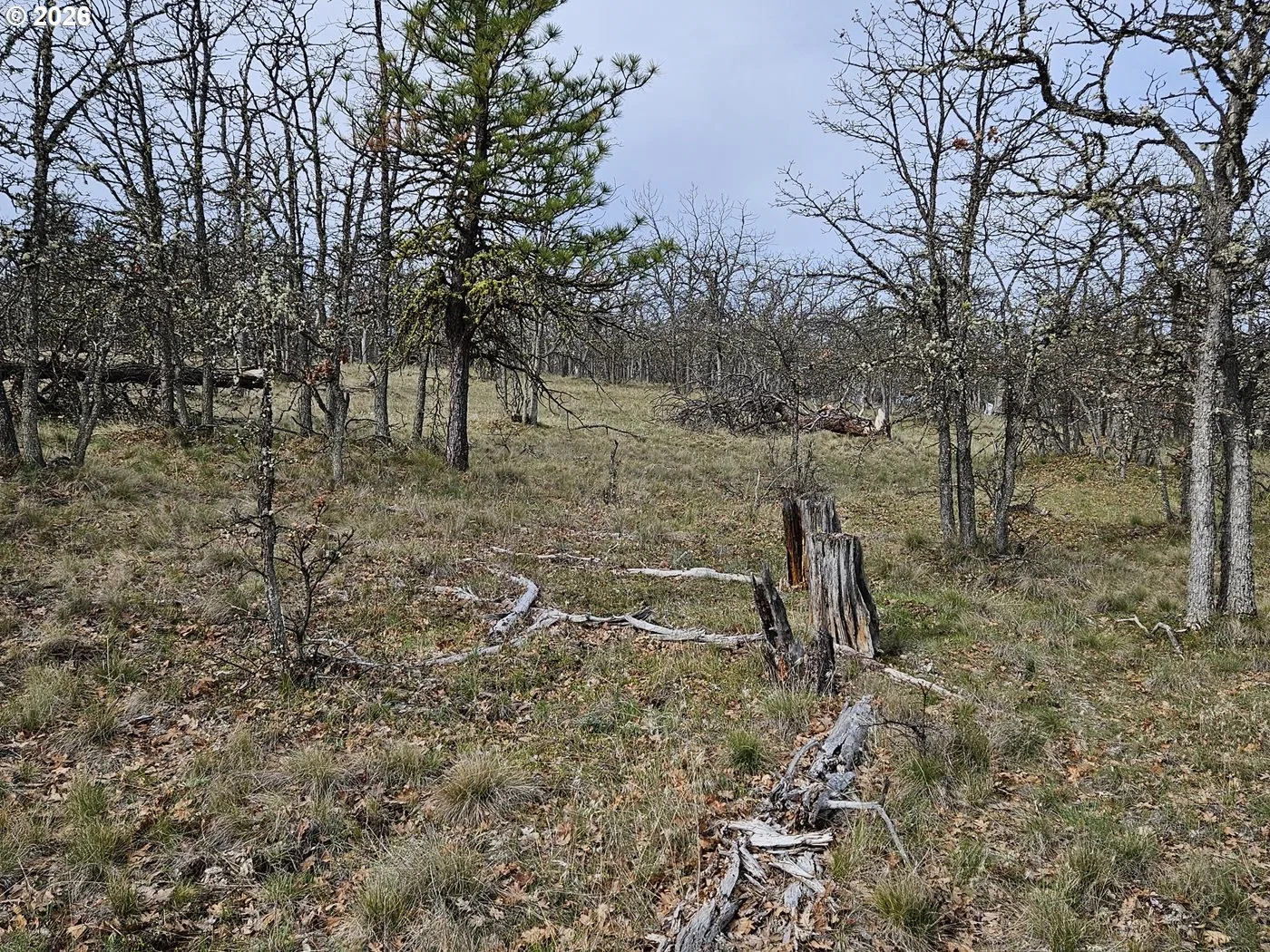 0 Ridgetop Rd N 107, Dufur, OR 97021 — photograph 13