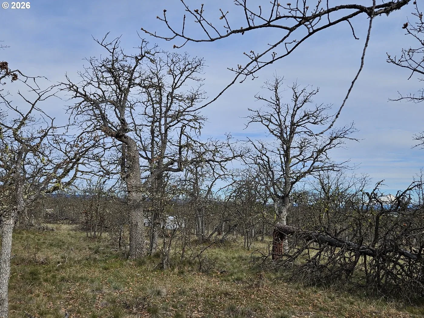 0 Ridgetop Rd N 107, Dufur, OR 97021 — photograph 11