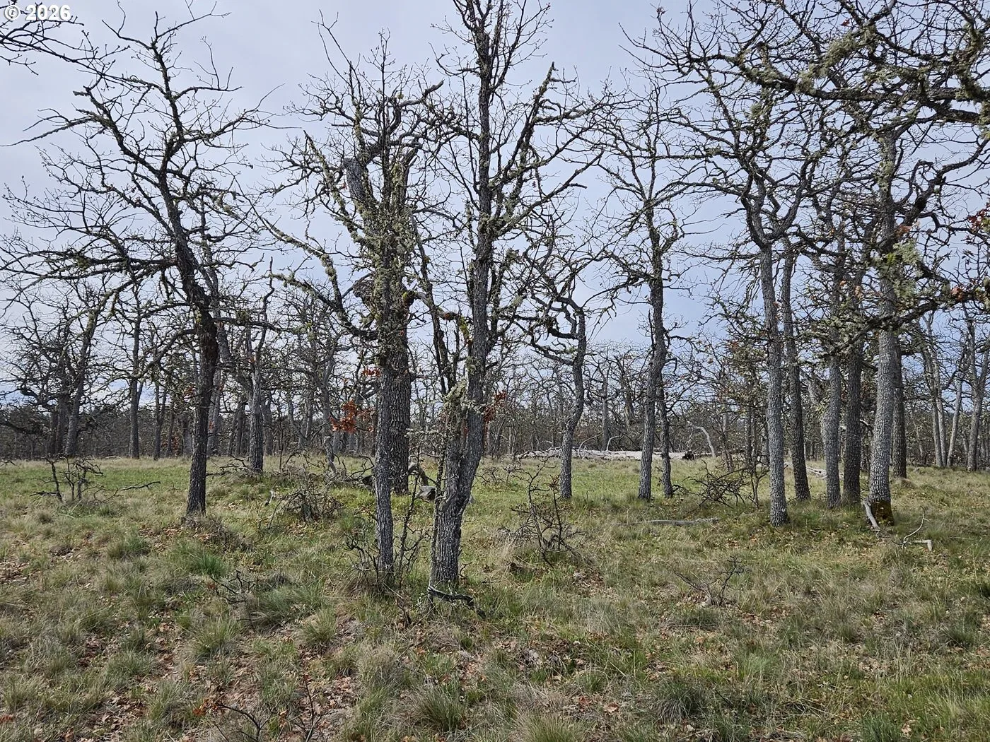 0 Ridgetop Rd N 107, Dufur, OR 97021 — photograph 14
