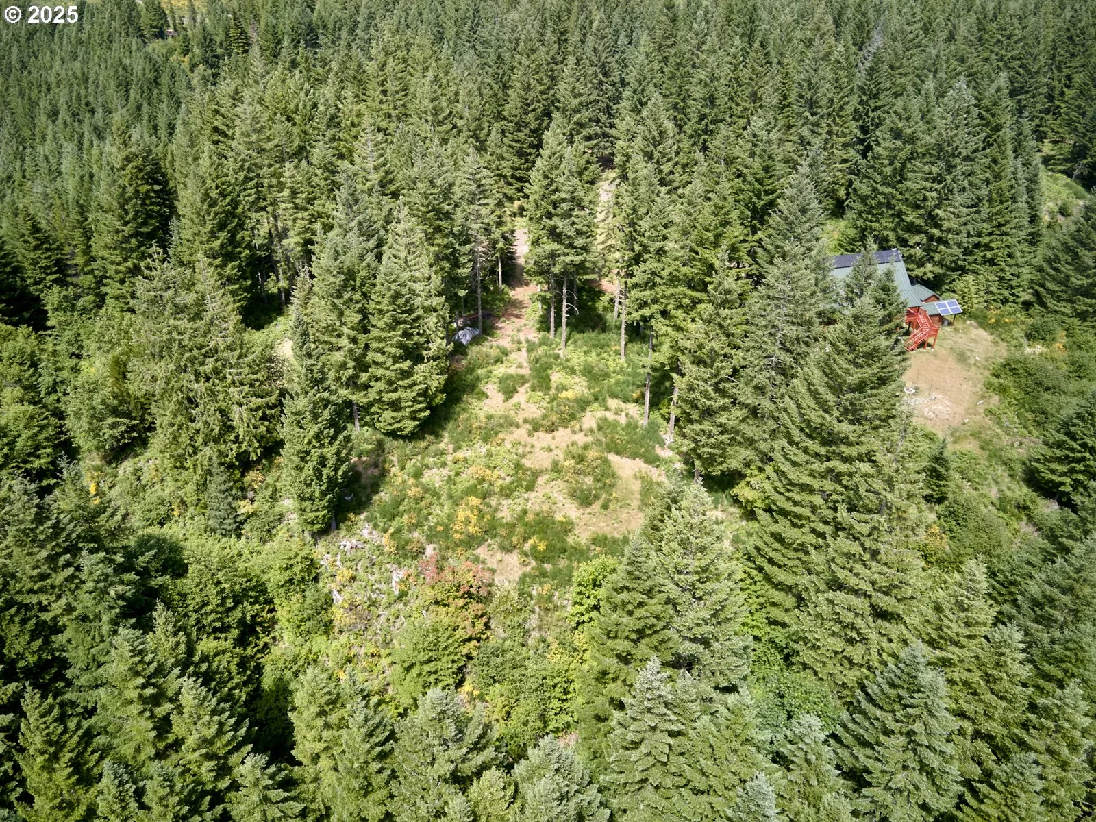 3 Phyllis Ann Block Ct, Cougar, Wa 98616 — photograph 16