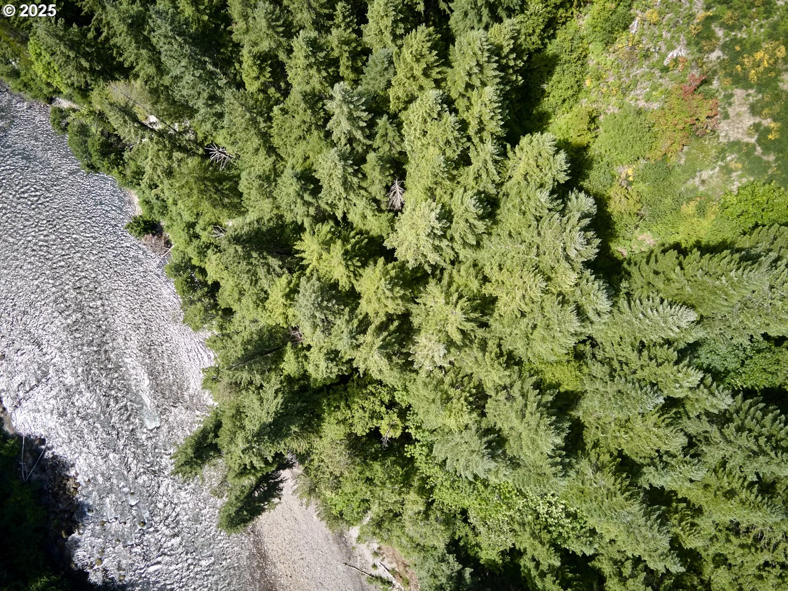 3 Phyllis Ann Block Ct, Cougar, Wa 98616 — photograph 18