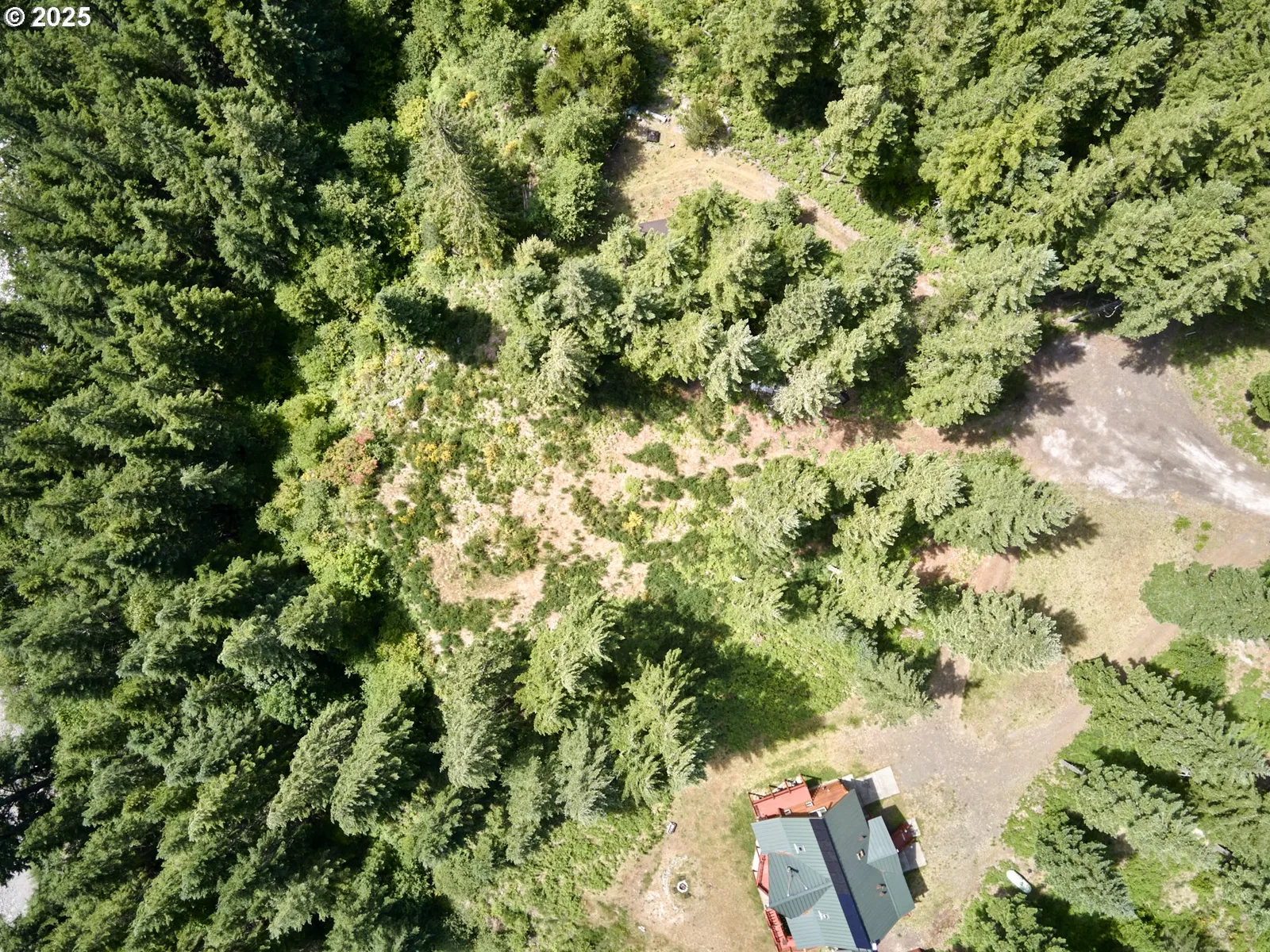 3 Phyllis Ann Block Ct, Cougar, Wa 98616 — photograph 17