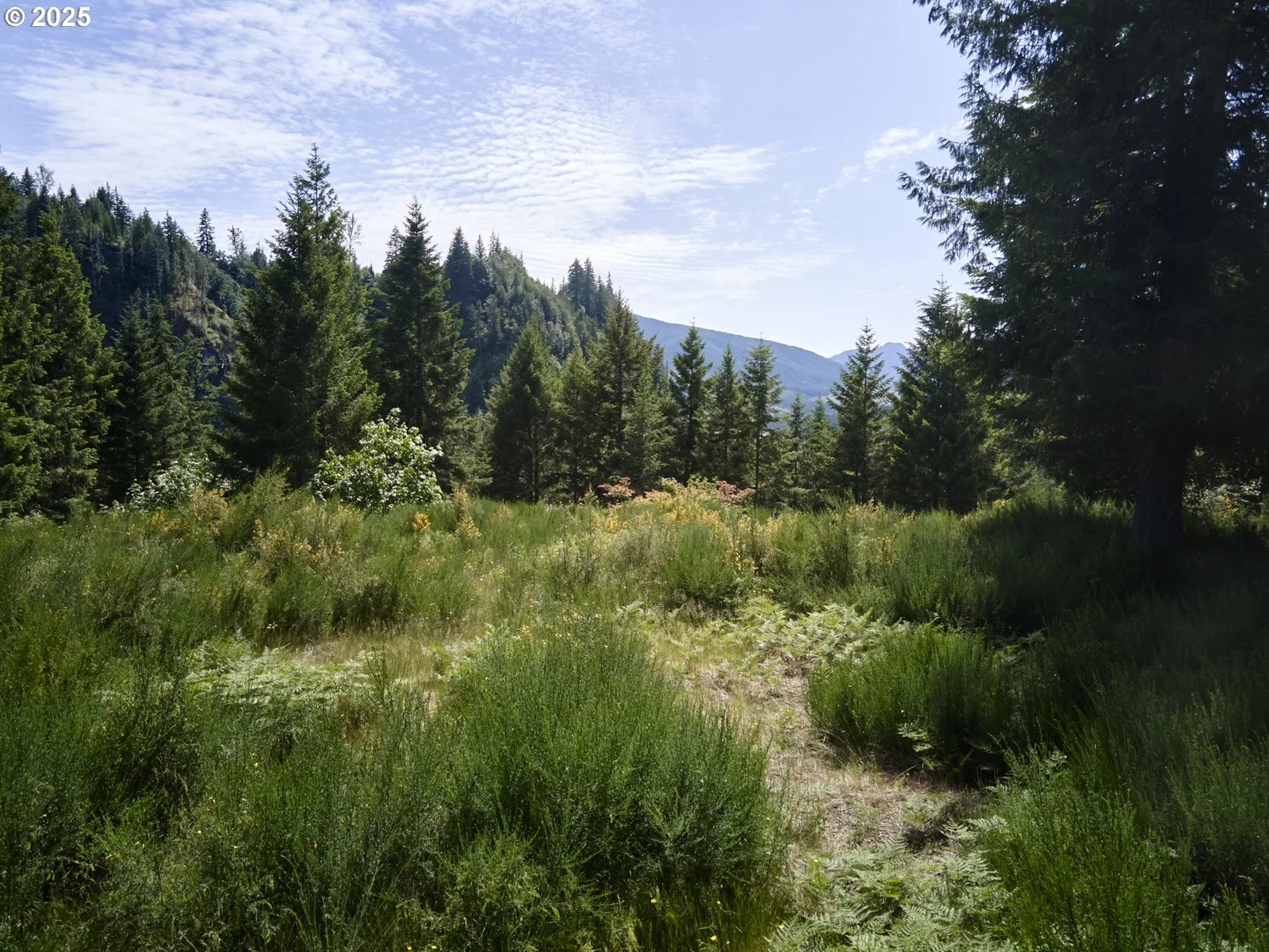 3 Phyllis Ann Block Ct, Cougar, Wa 98616 — photograph 14