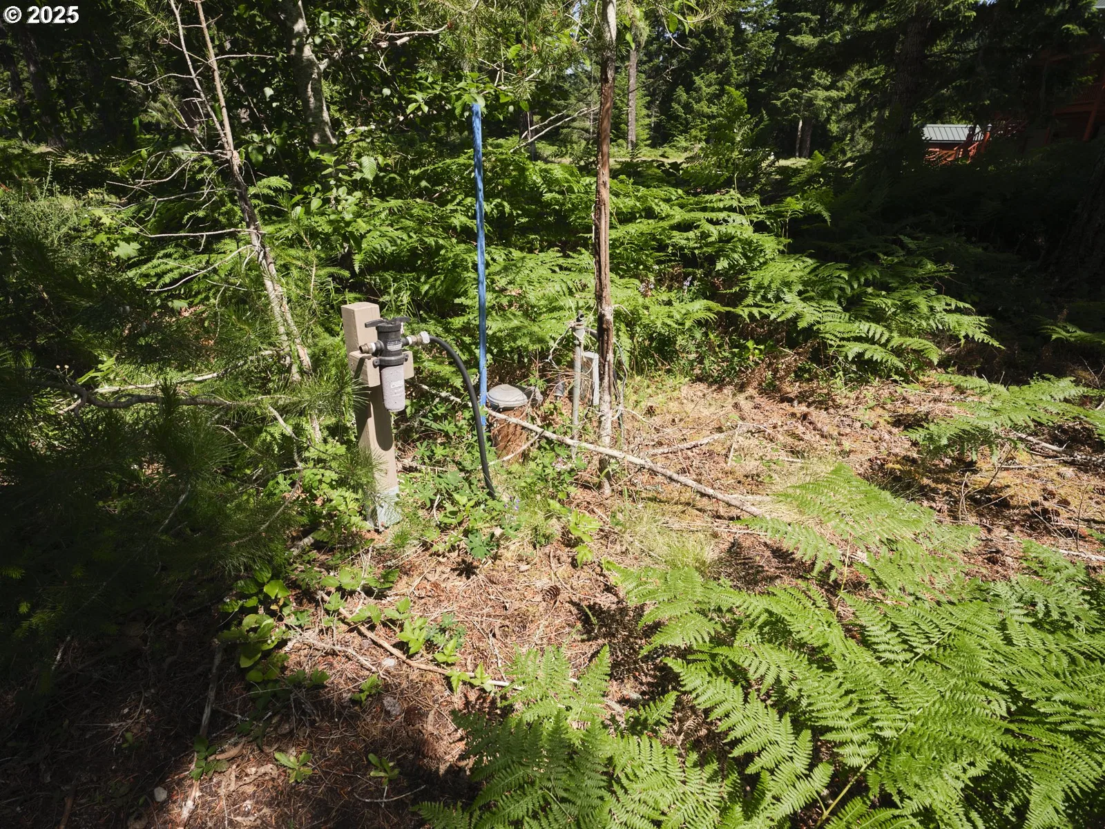 3 Phyllis Ann Block Ct, Cougar, Wa 98616 — photograph 15