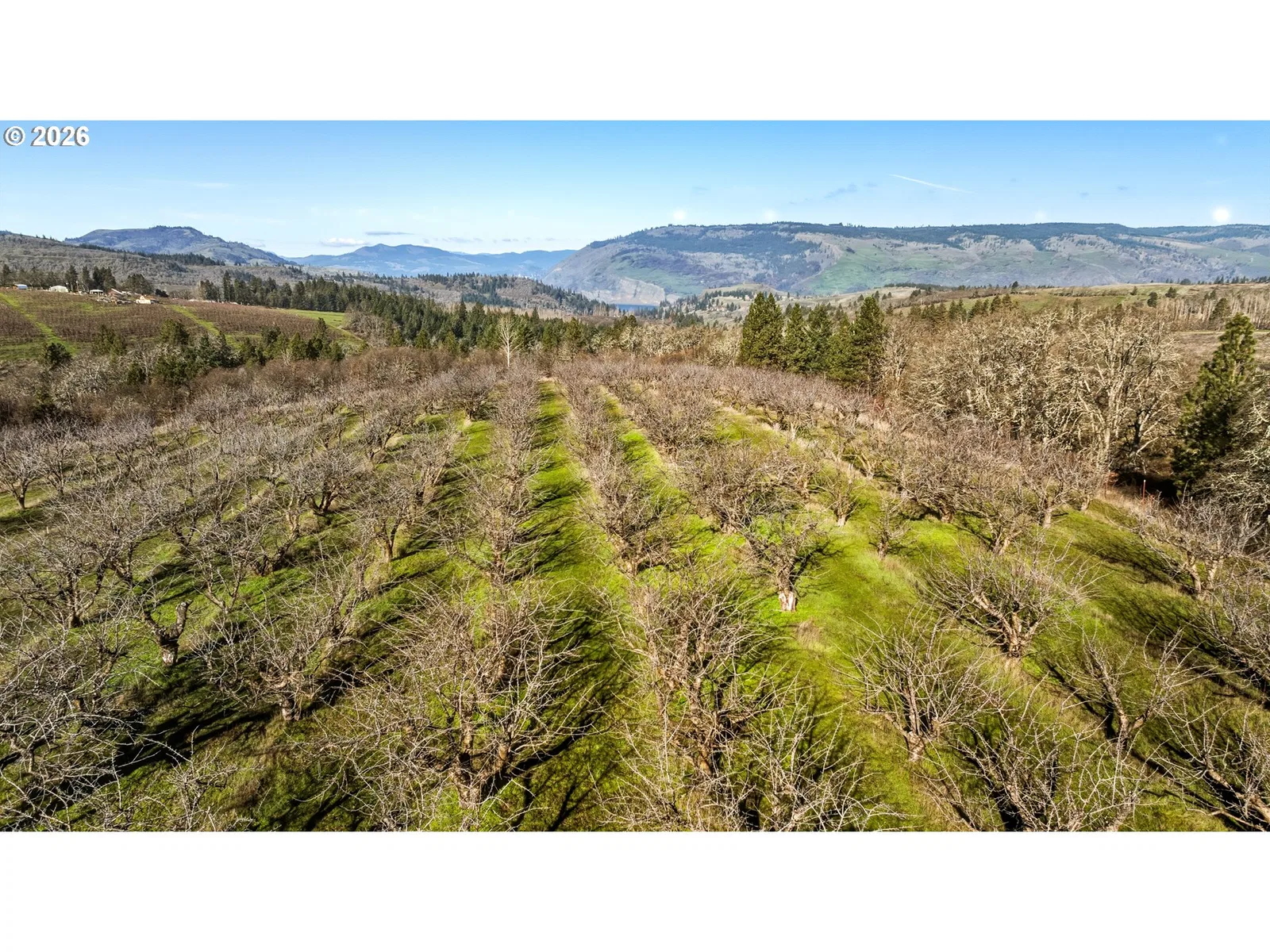 Dry Creek Rd, Mosier, OR 97040 — photograph 8
