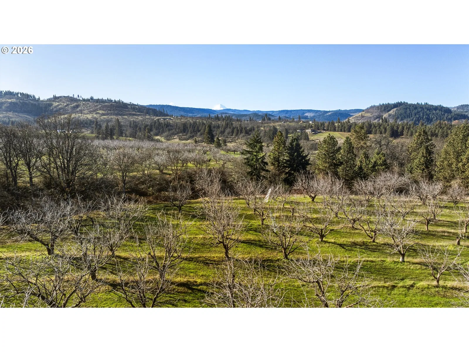 Dry Creek Rd, Mosier, OR 97040 — photograph 9